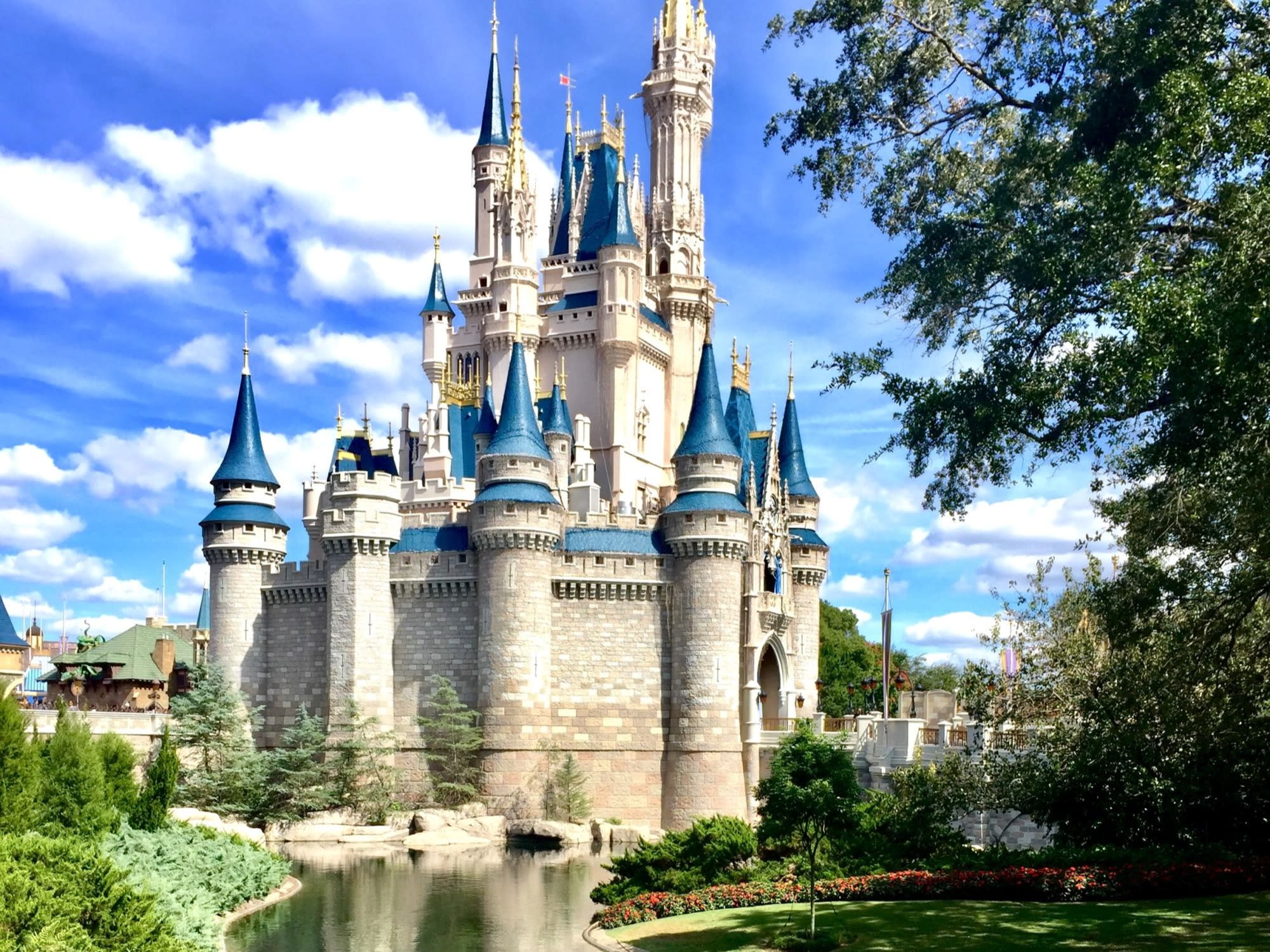 castle at Disney land