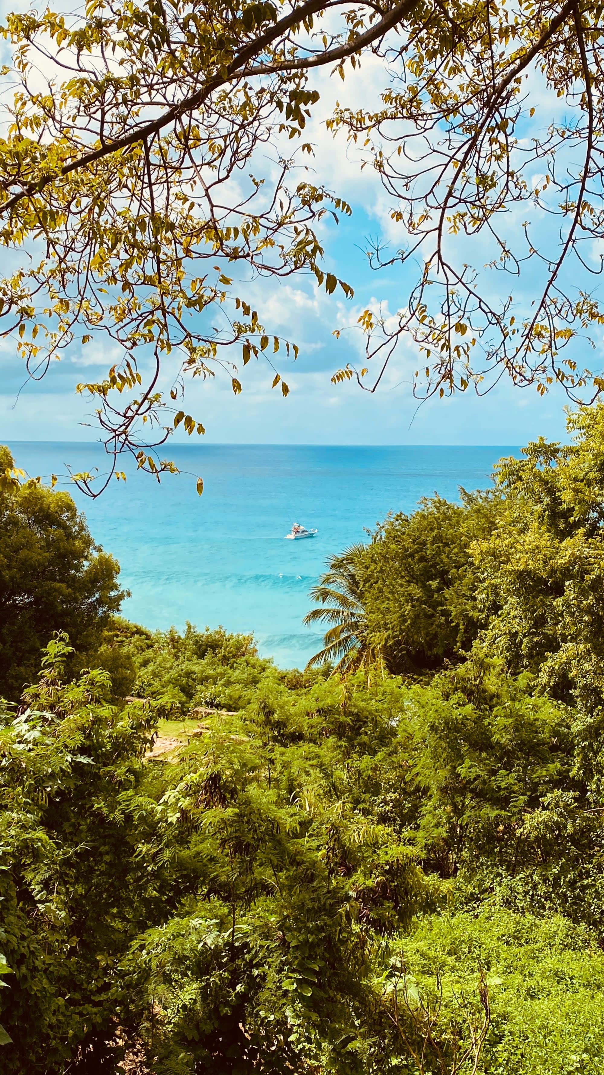 clear blue water off the tropical green coast
