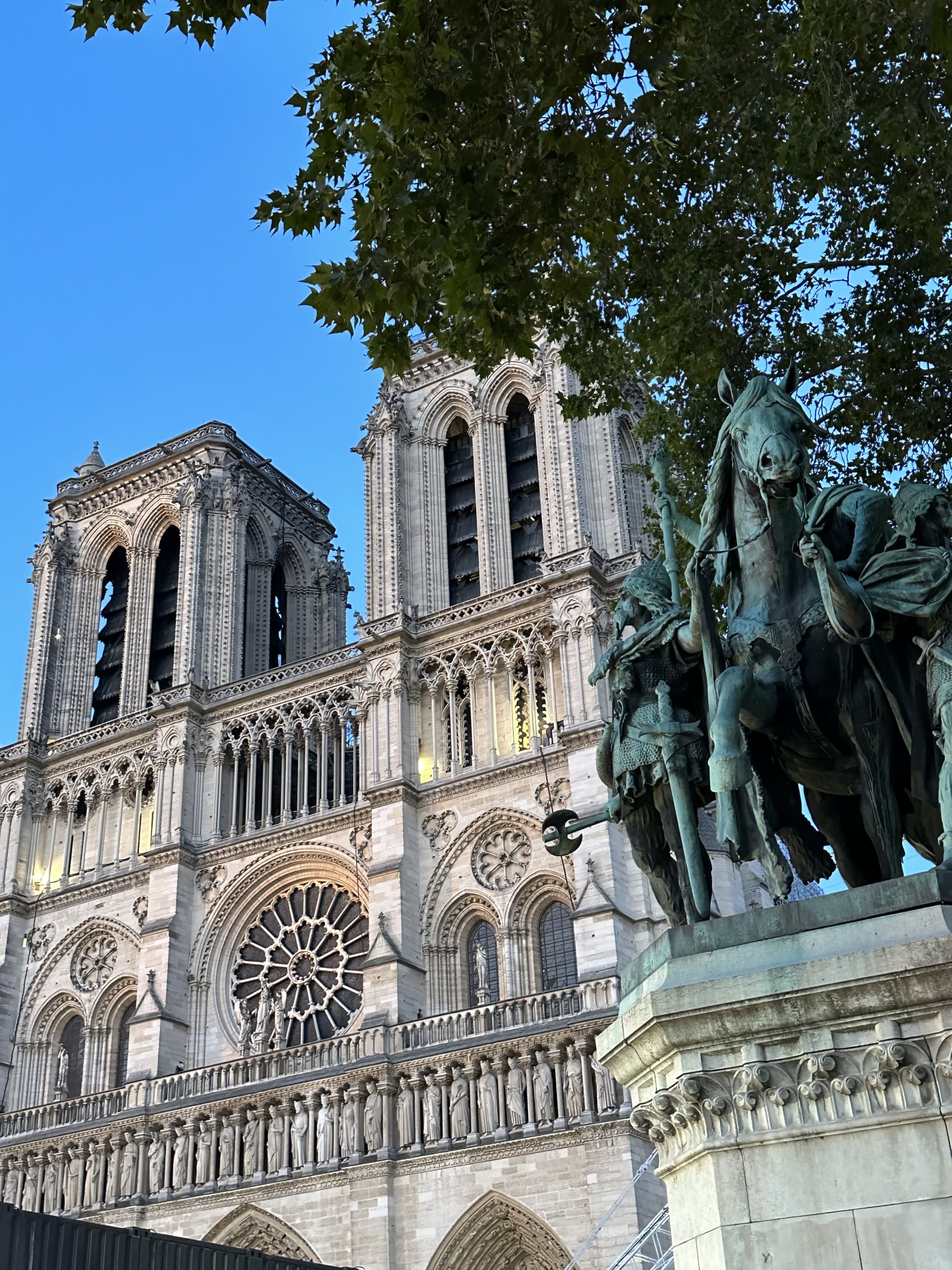 A view from the bottom of the exterior of Notre Dame with a tree in front.