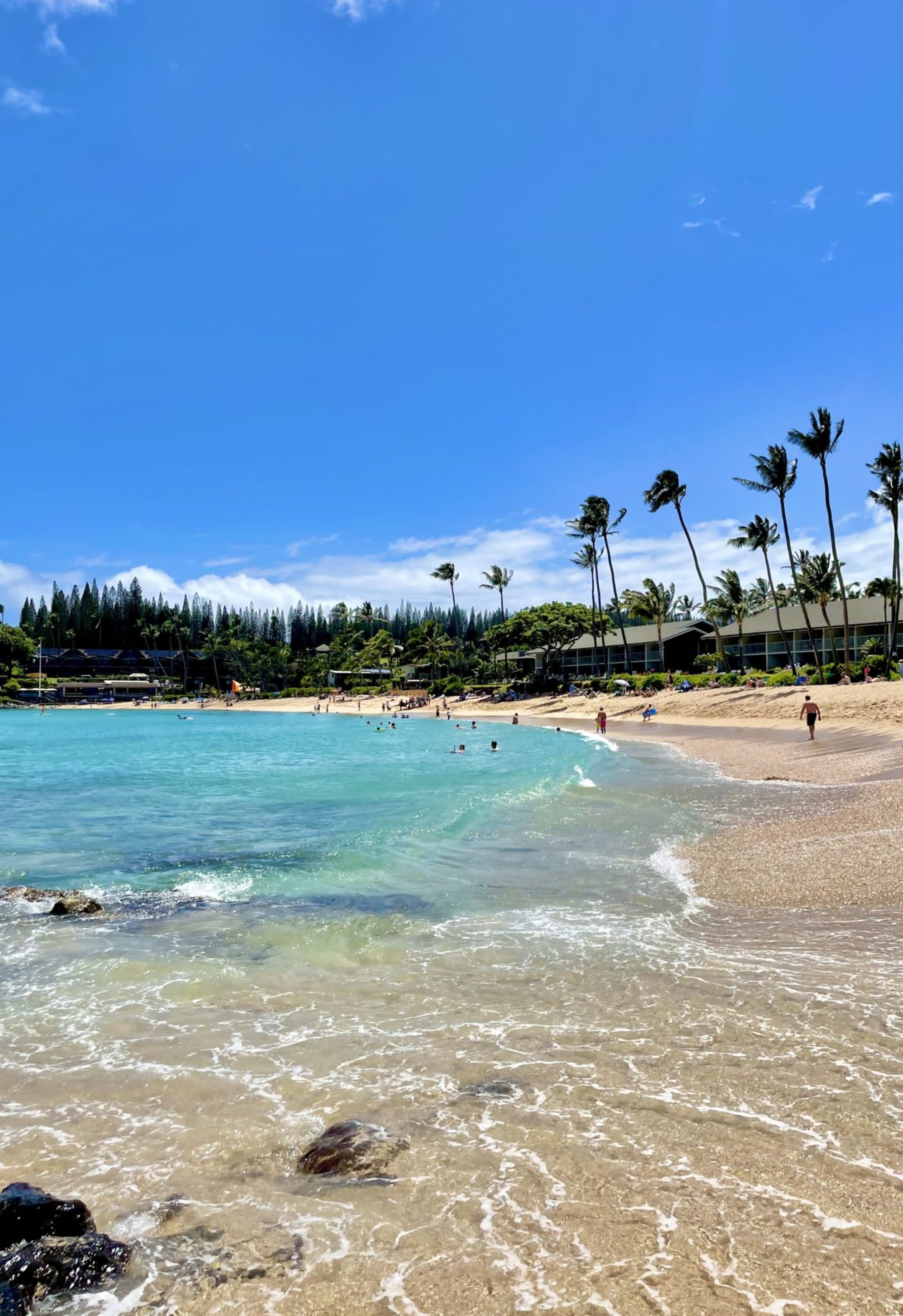A sunny beach scene with clear blue skies, palm trees, and people enjoying the water and sand.