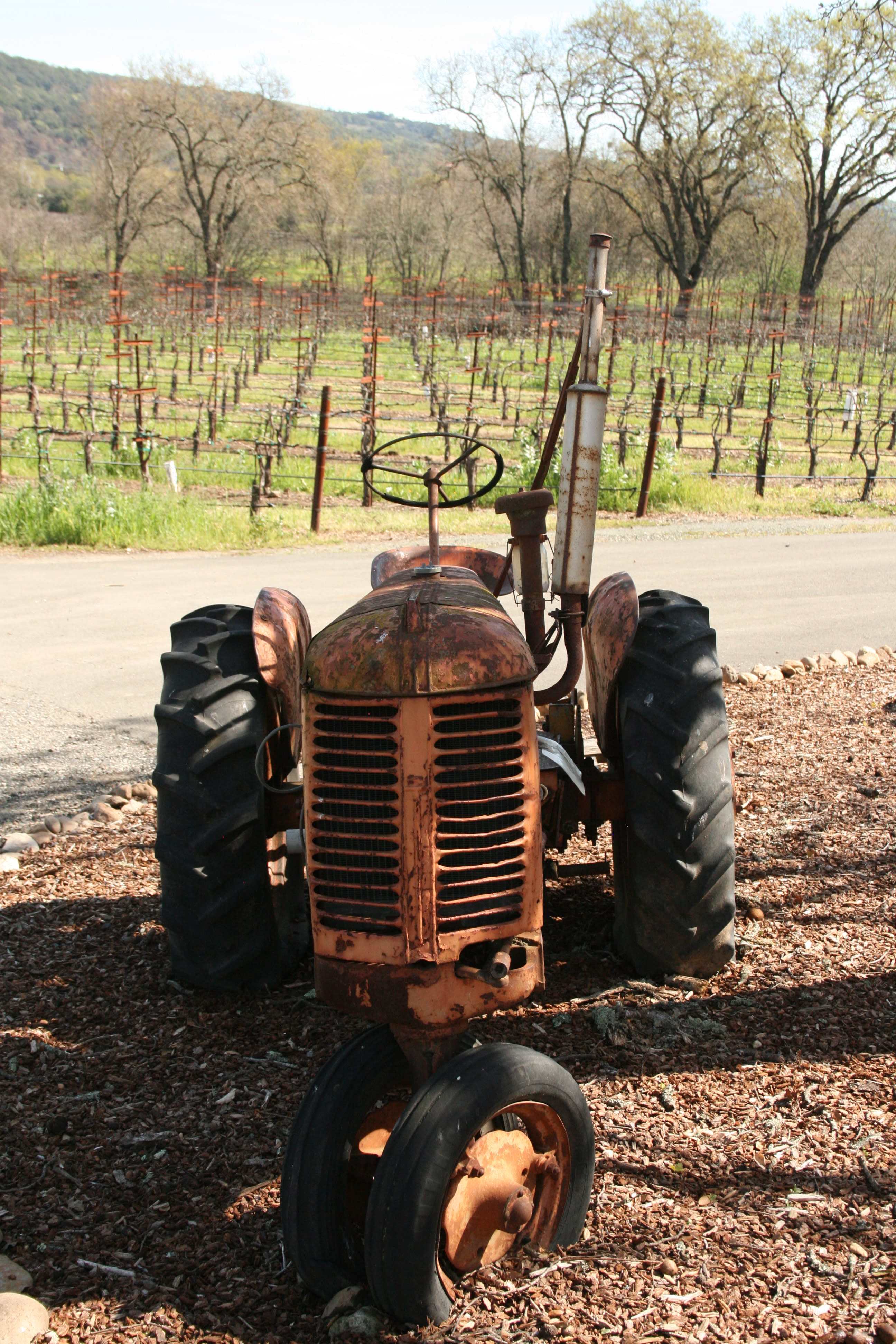 A tractor at a vineyard.
