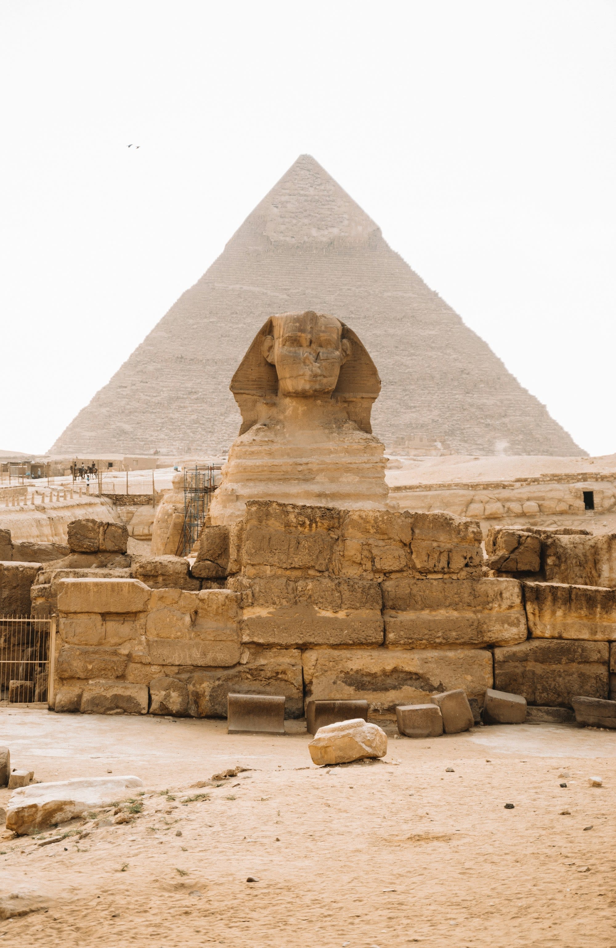 The Sphinx in front of the Pyramids of Giza