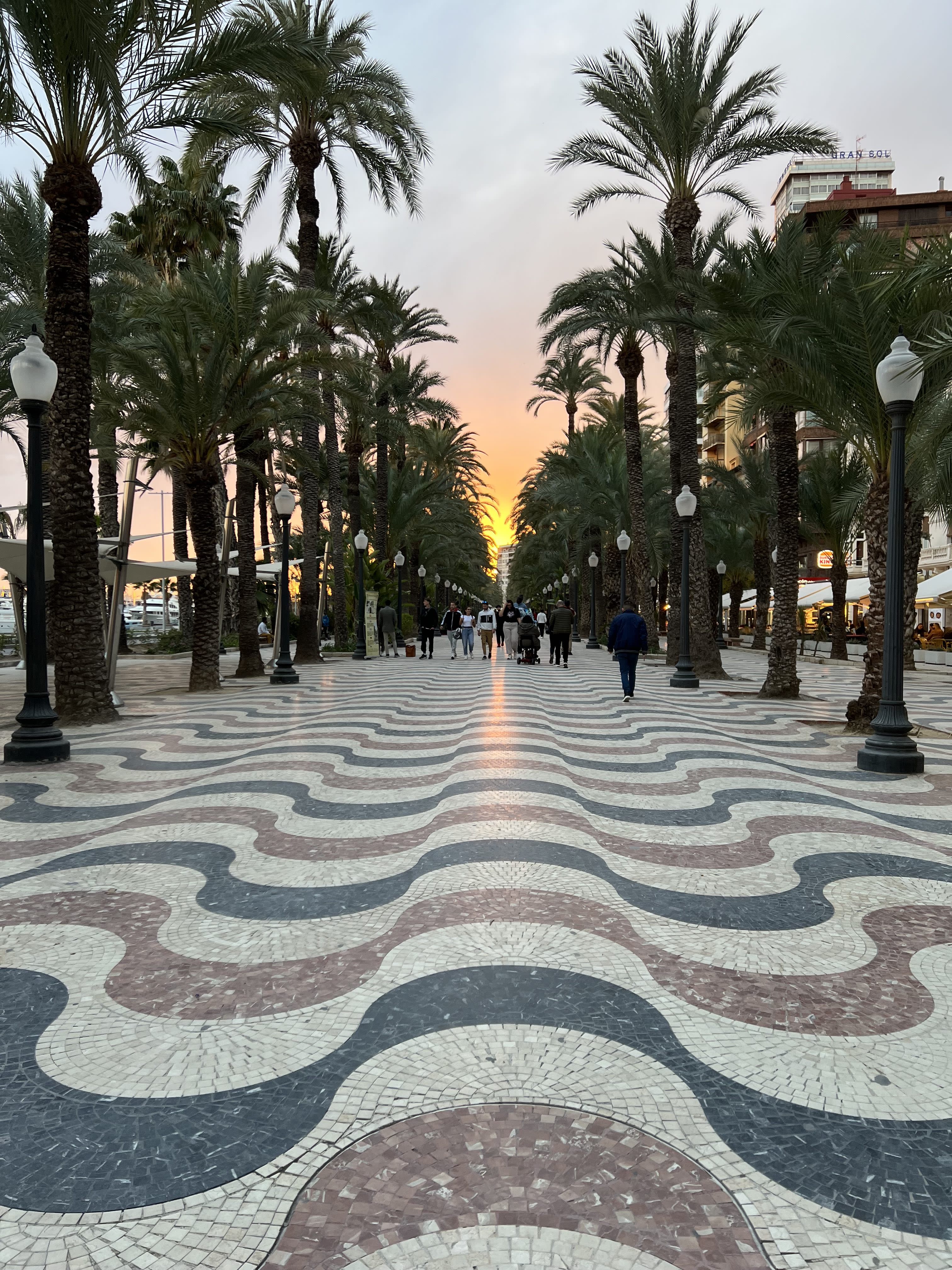 broad view of pathway