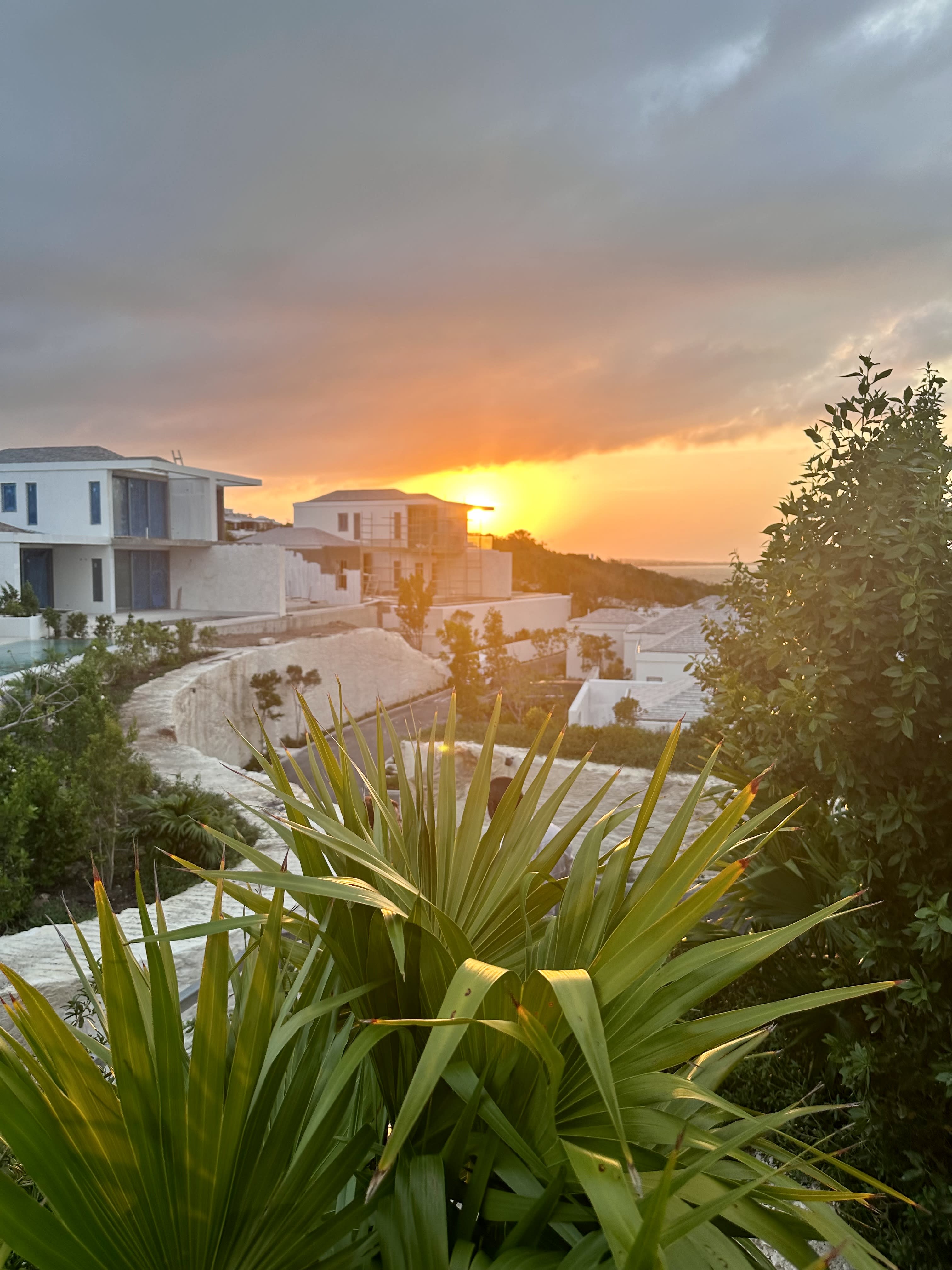 A curved pathway with white buildings along it, greenery in the foreground and a sunset in the sky.