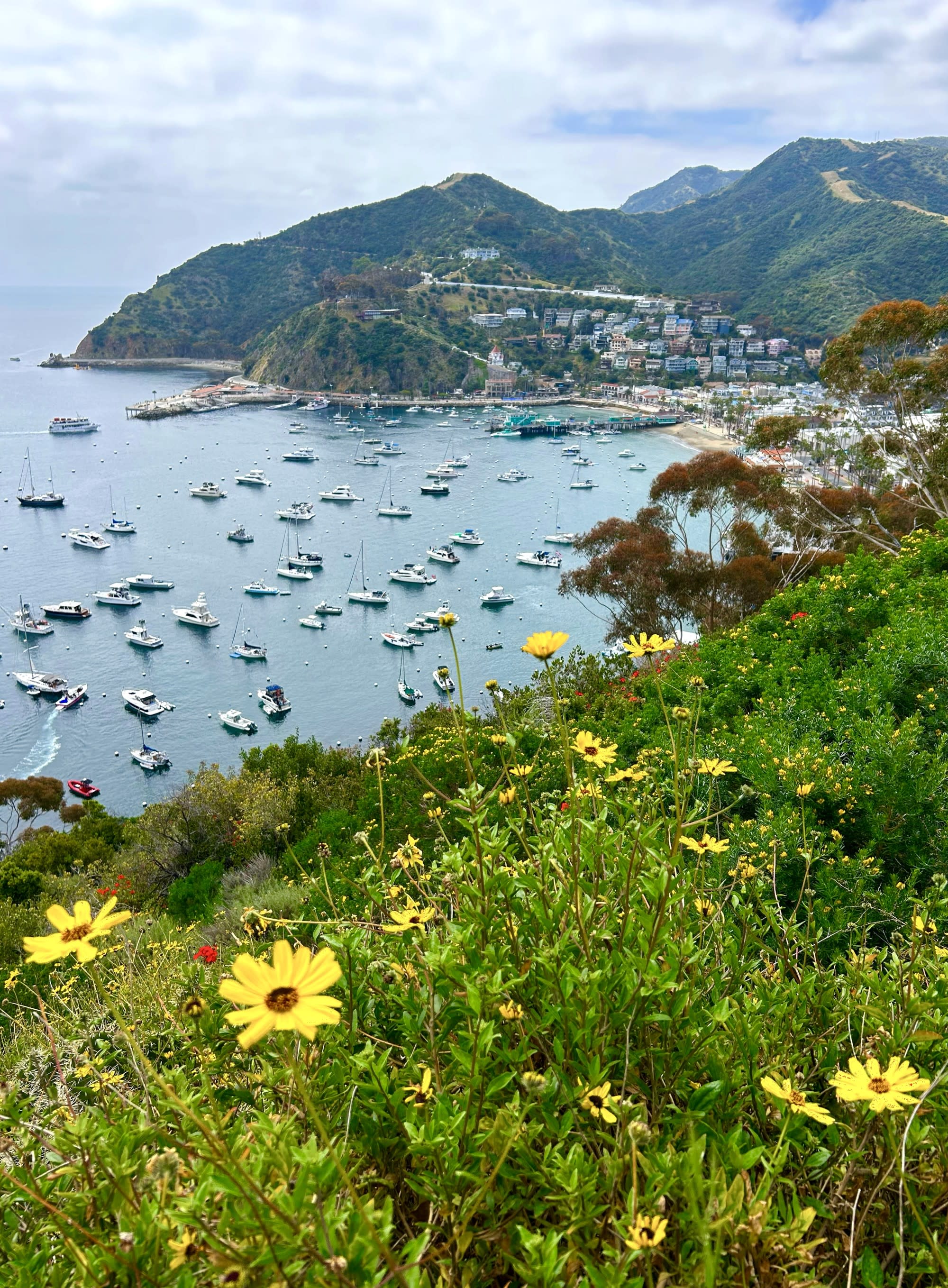 Aerial view of hills next to a body of water with lots of boats in it