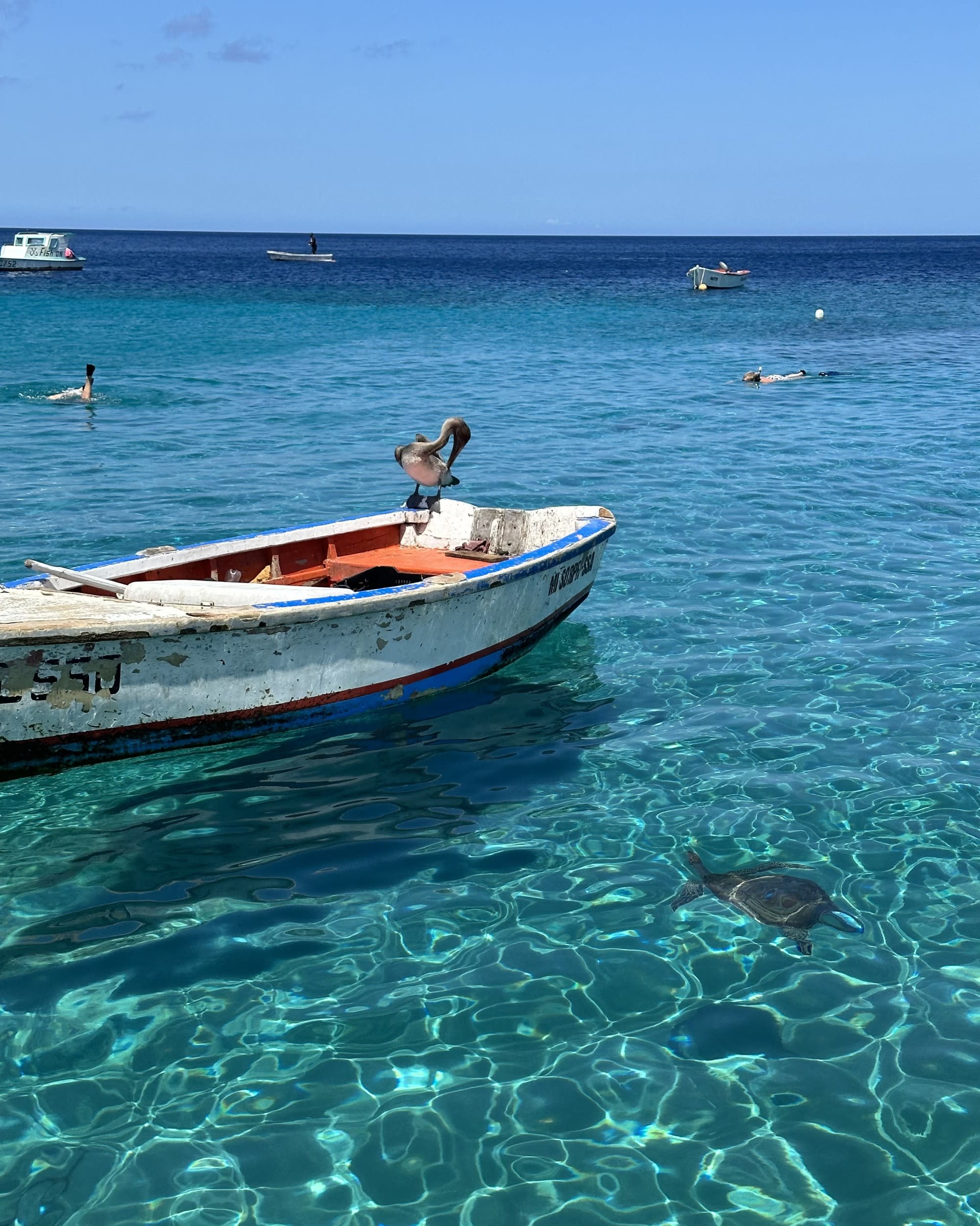 A white boat over bright blue water