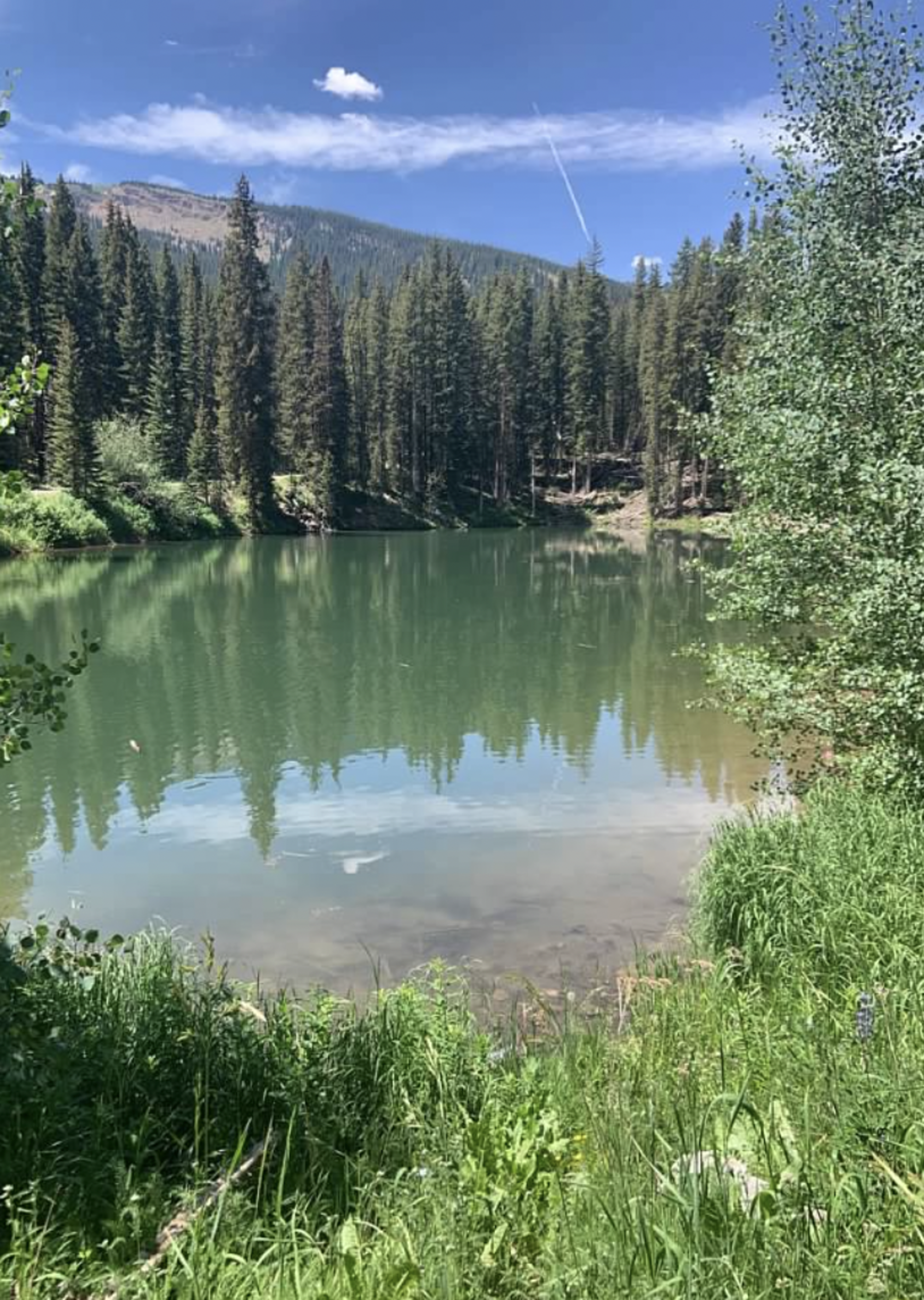 A peaceful lakeside view with lush greenery and towering trees reflecting on calm waters under a clear sky.