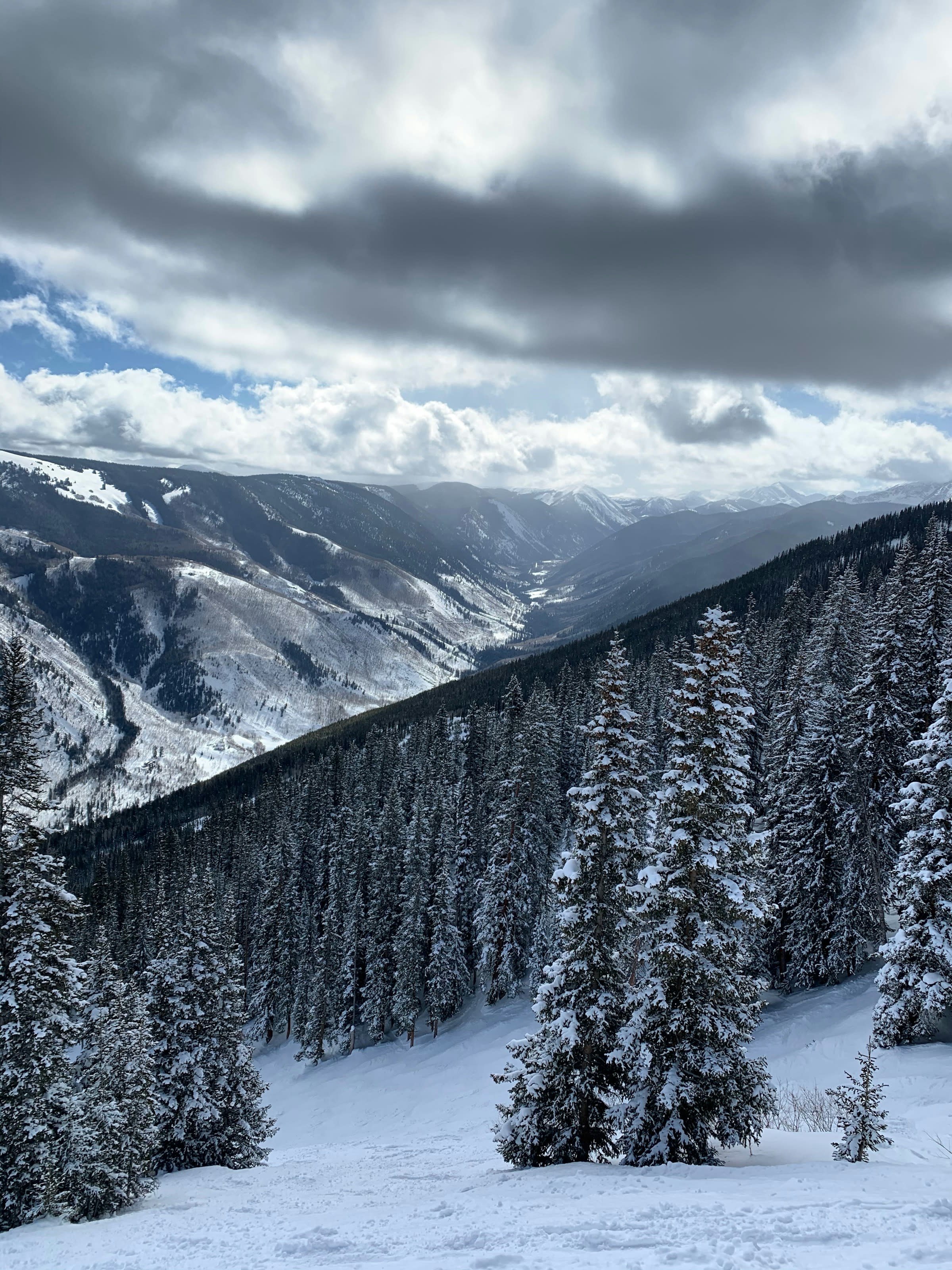 Snow-covered mountains and evergreen trees in Aspen in March.