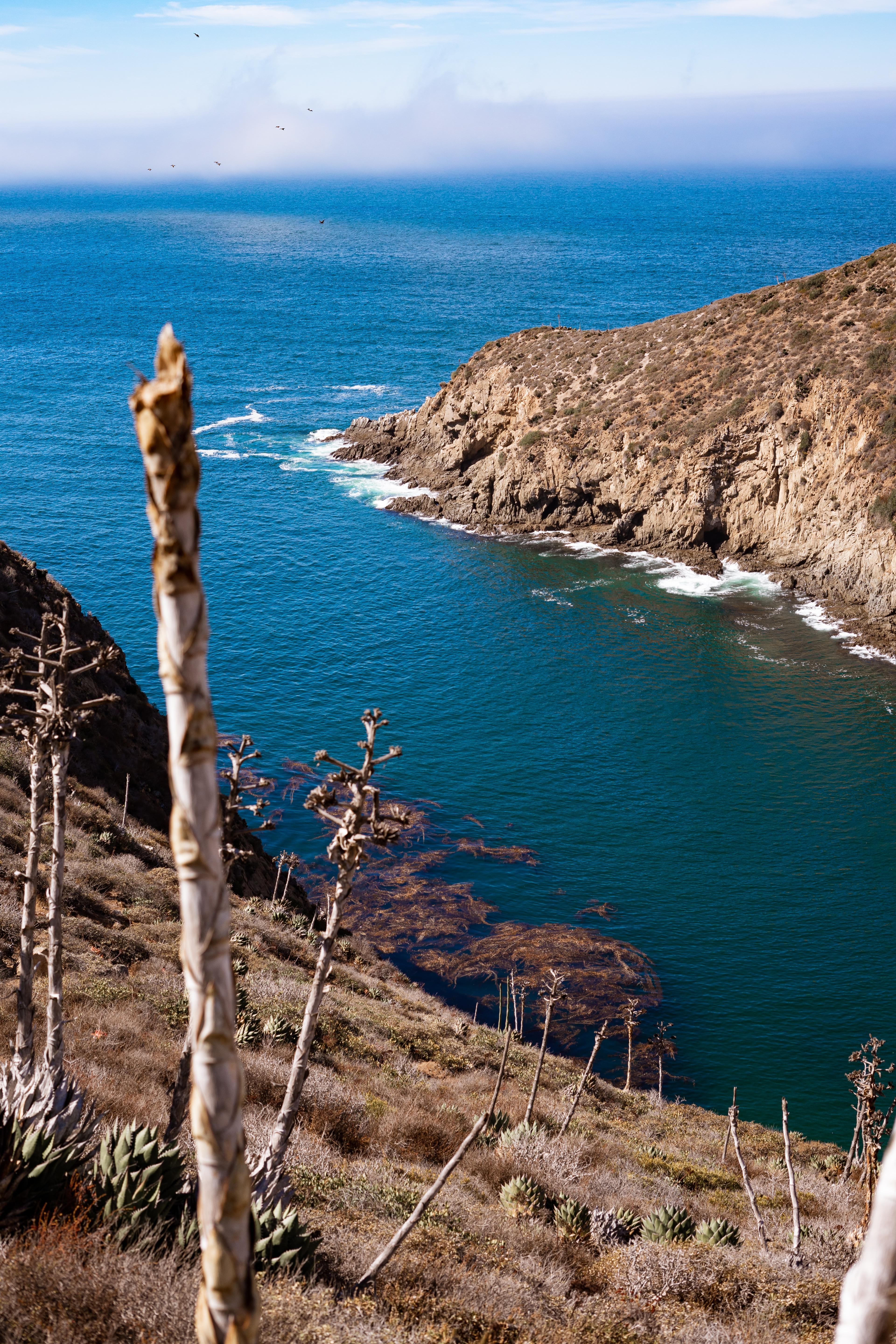 A cliffside view of the Sea of Cortes.