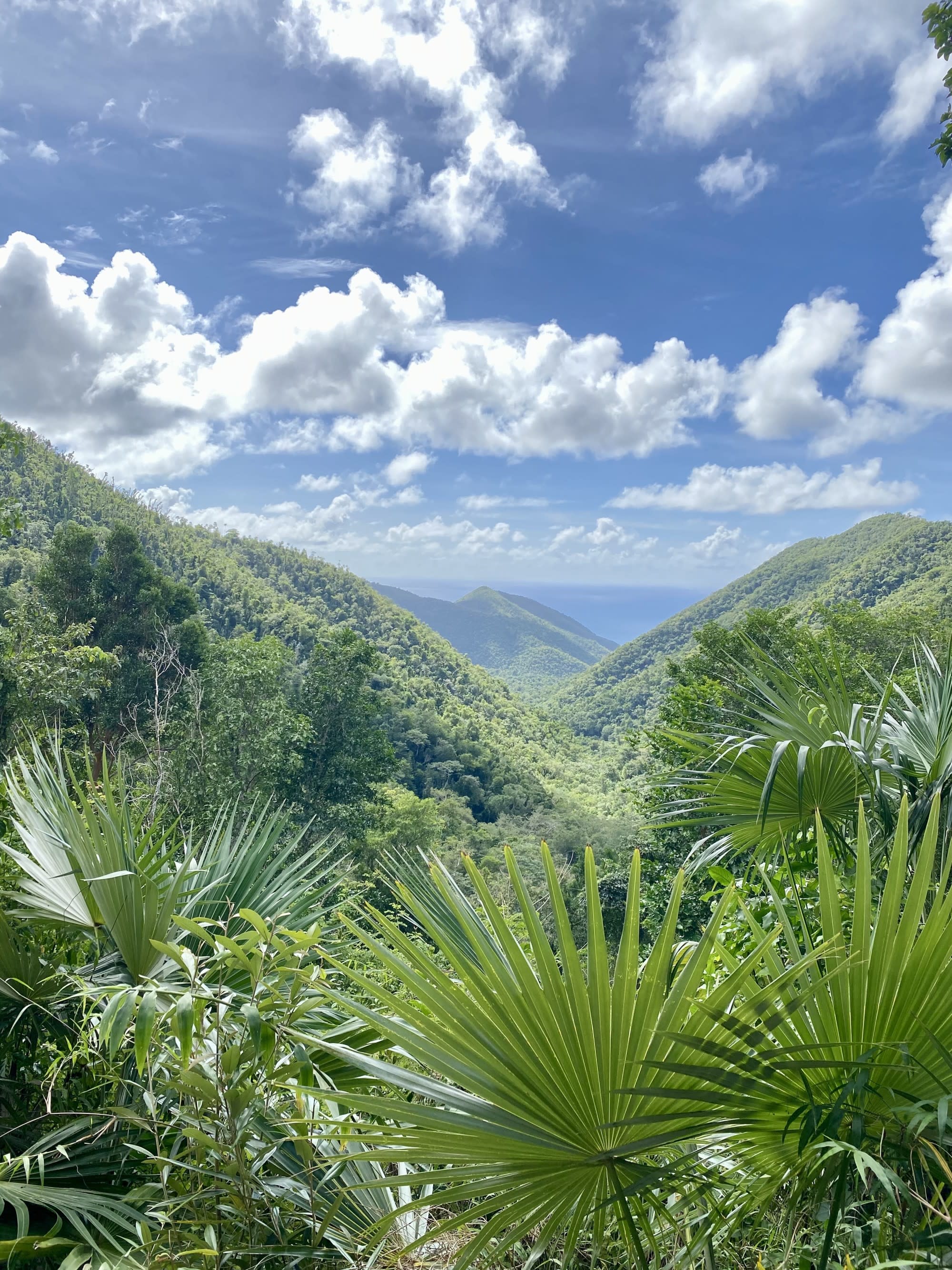 Green mountains during day time.