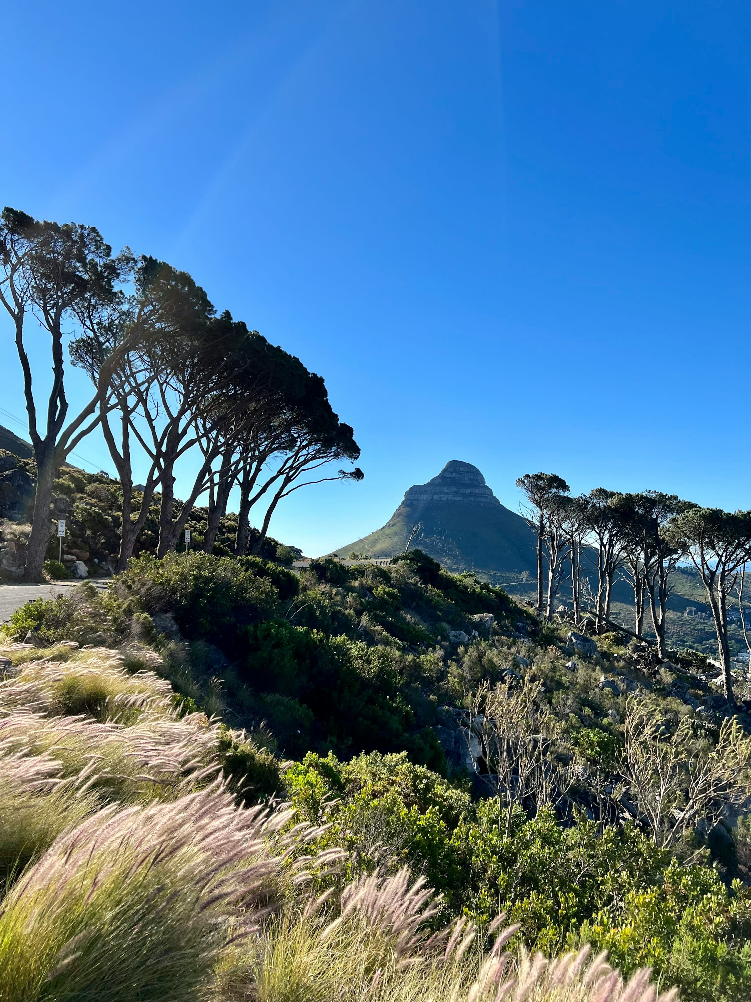 A sunny view of Lion's Head Mountain in the Cape Town region.