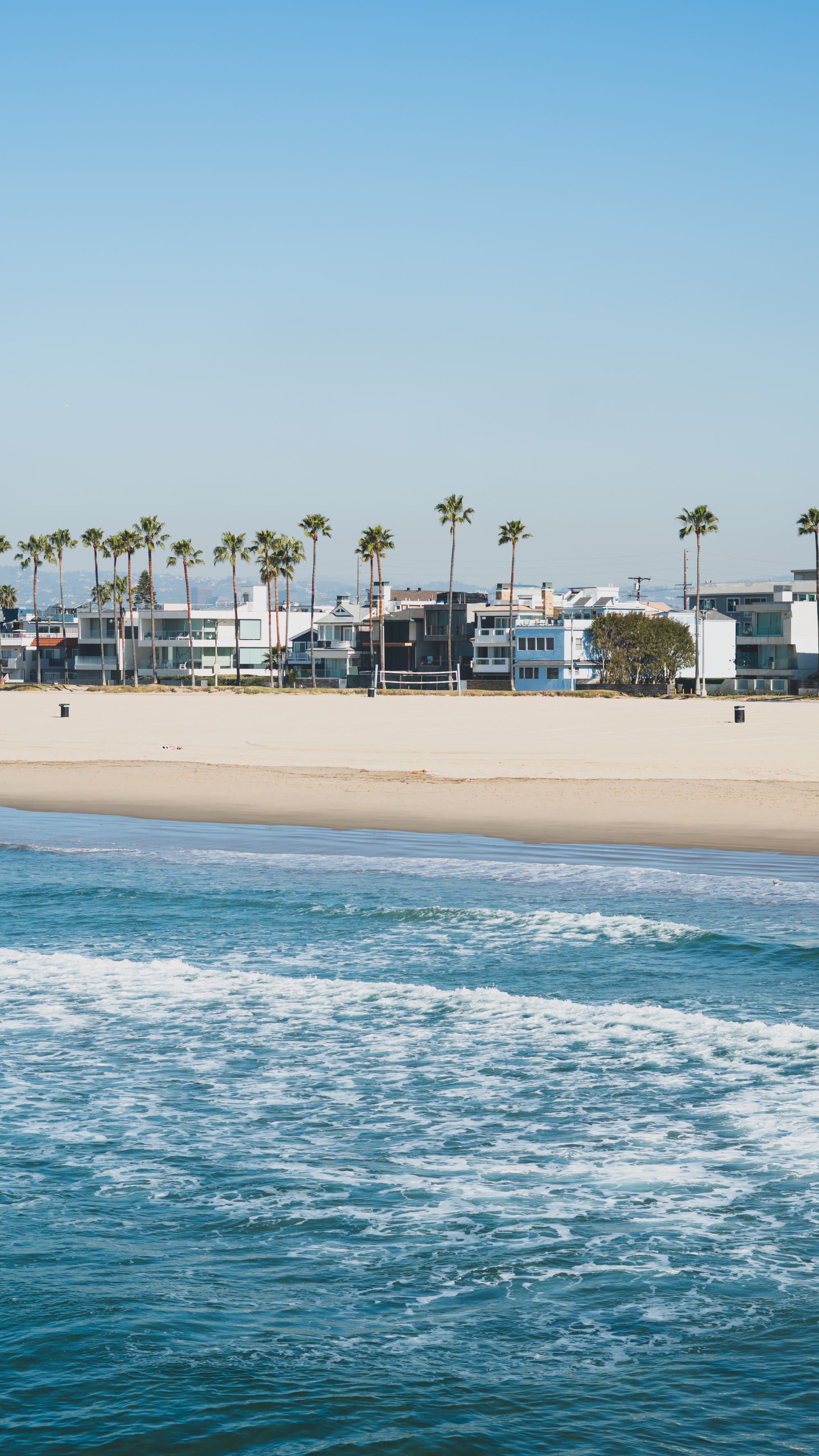 beach with palm trees lining contemporary homes