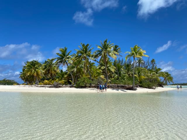 Beautiful island with trees