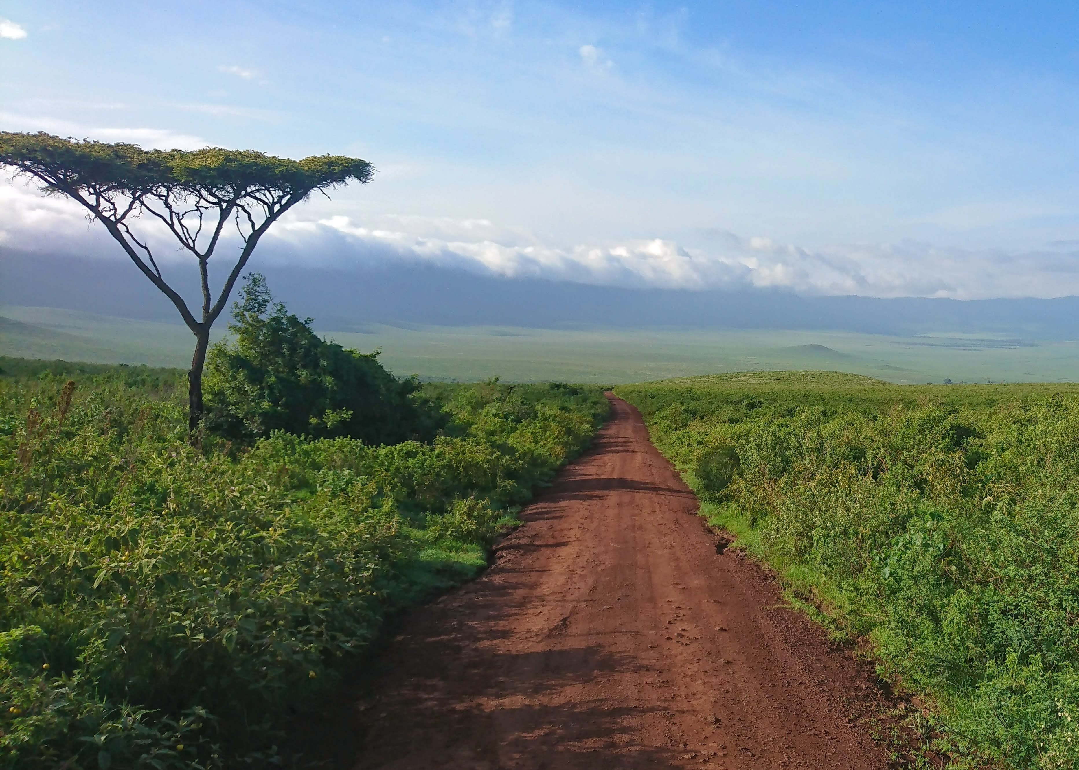 Trail in Tanzania