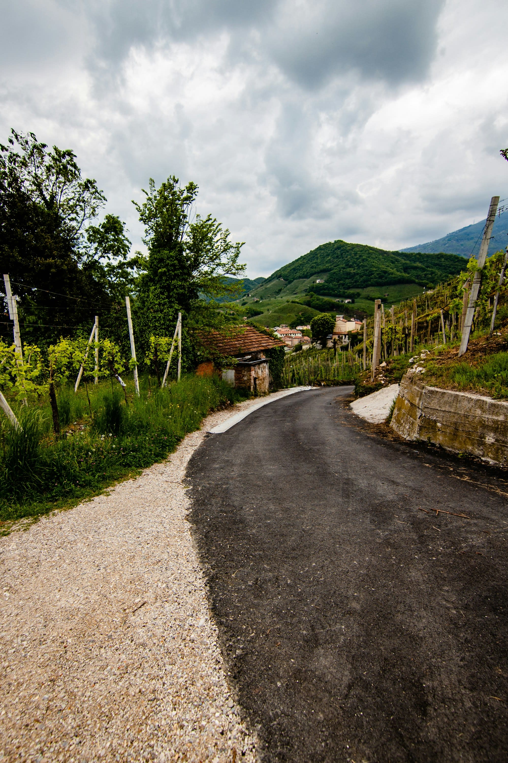 Beyond Venice: A Guide to Italy’s Veneto Region