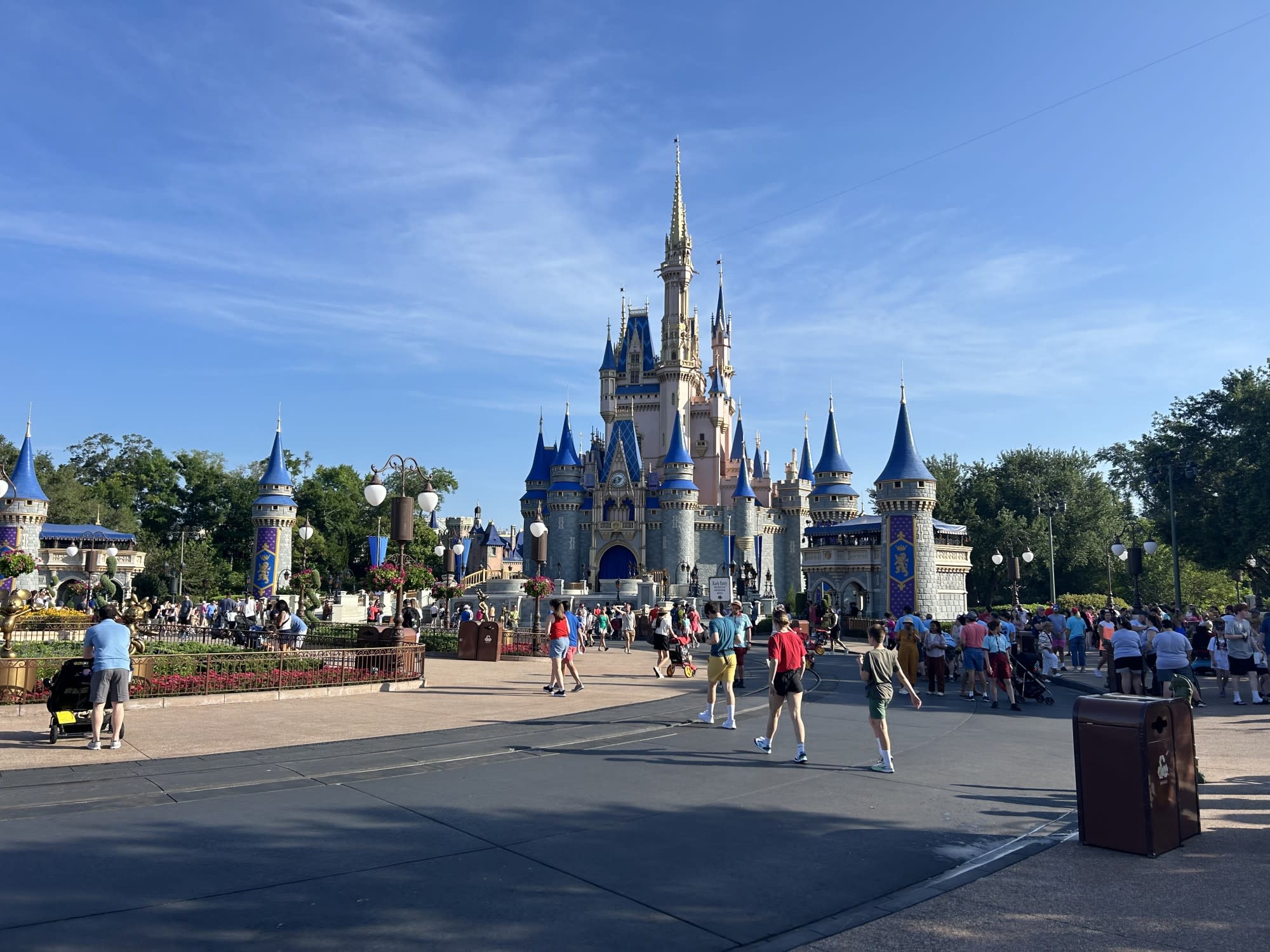 Navigating Walt Disney World's Disability Access Pass: A Parent's Guide to a Magical Experience