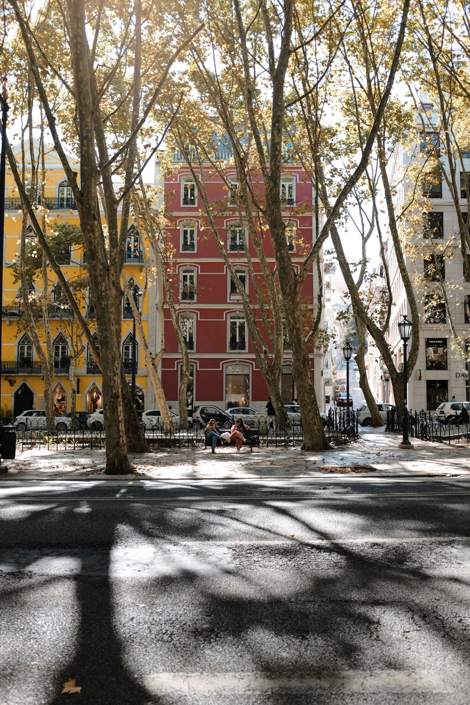 Hidden Gem in Lisbon, Portugal