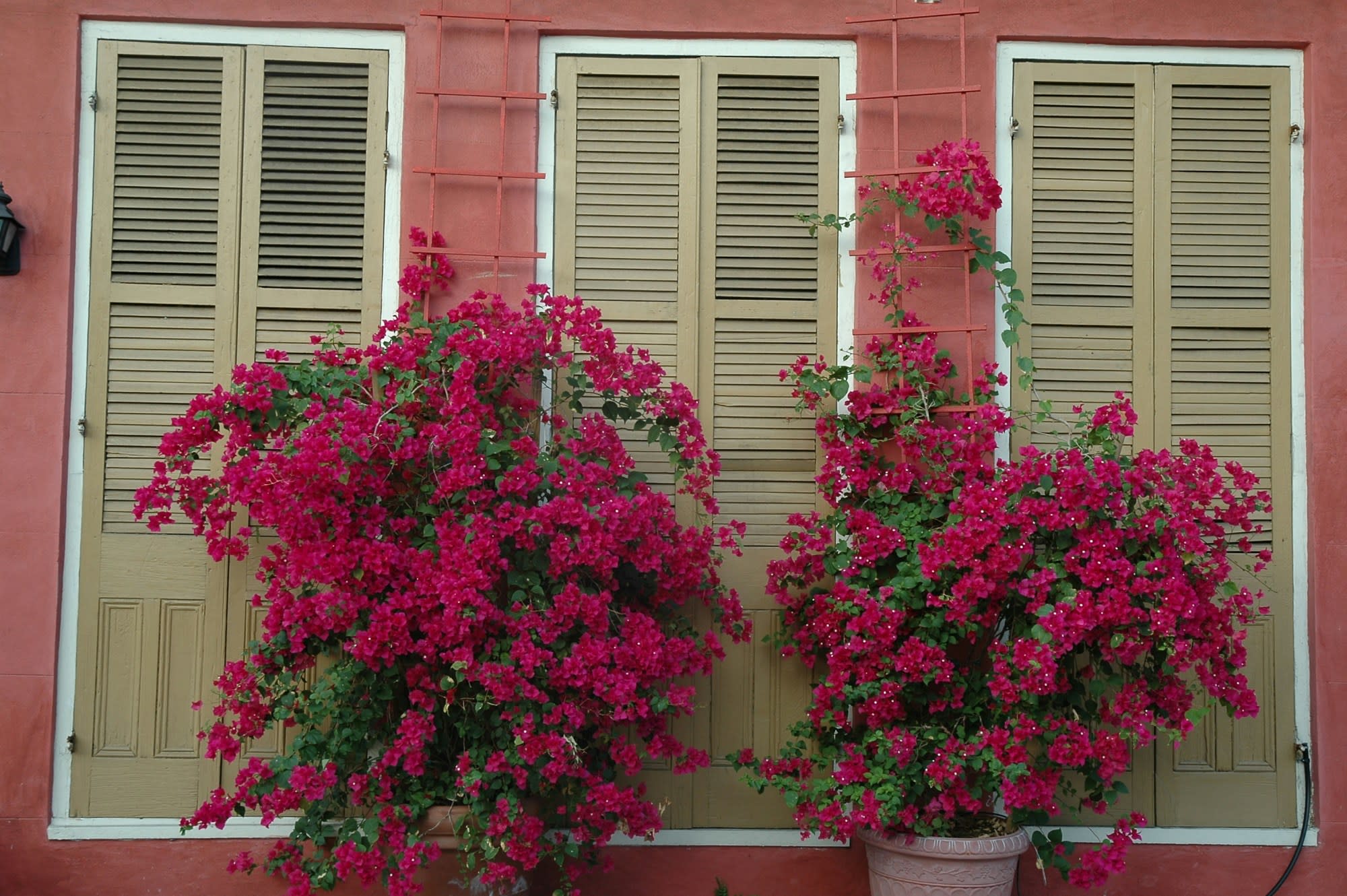 Staying at the Hotel Saint Vincent in New Orleans