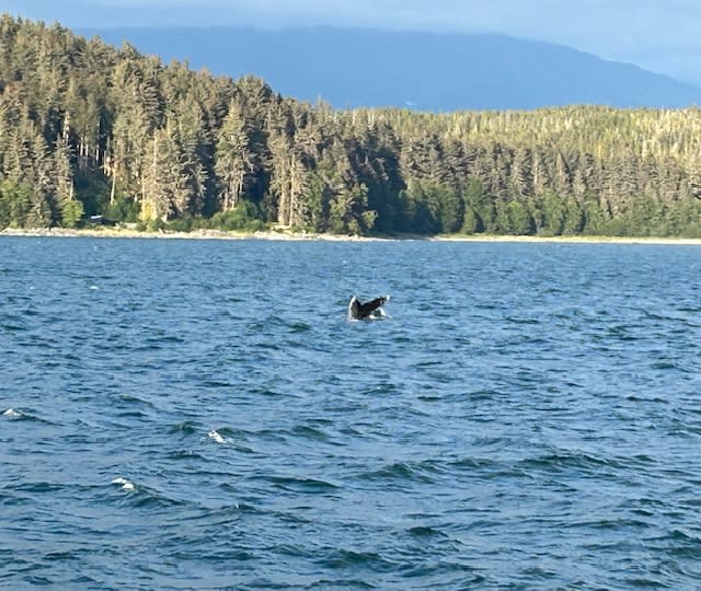Alaska by Land and Sea