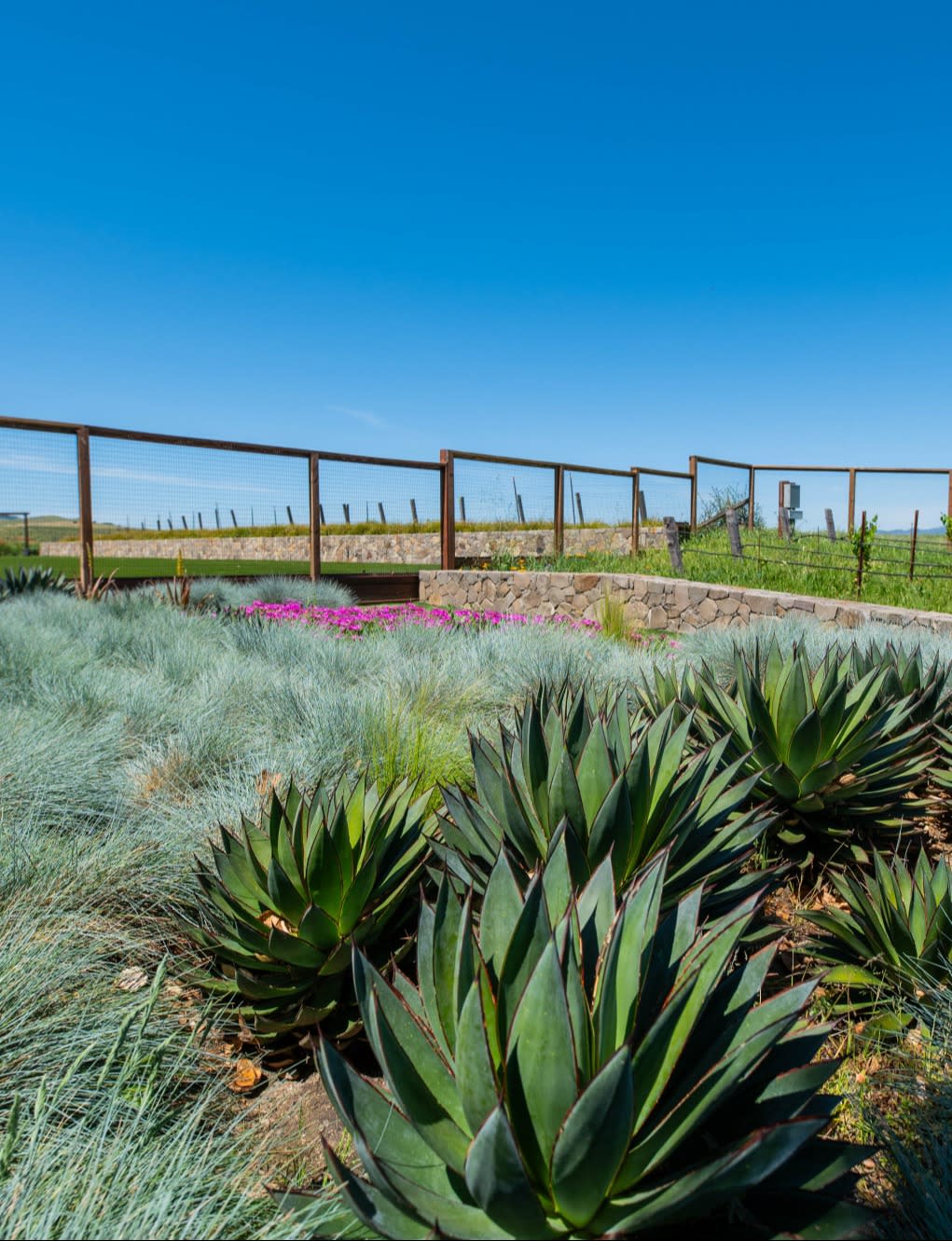 Site Inspection at the Lovely Carneros Resort and Spa in Napa