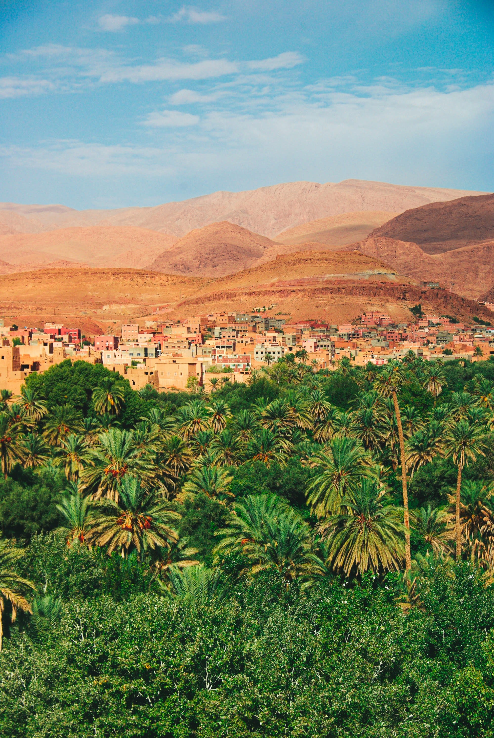Review of Riad Bliss