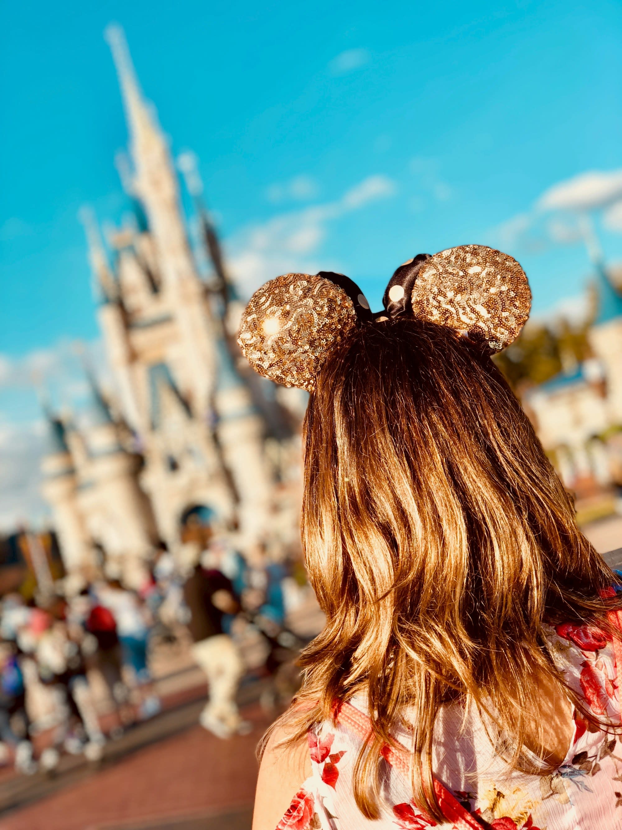 A Beginners Guide to Planning a Memorable Walt Disney World Vacation
