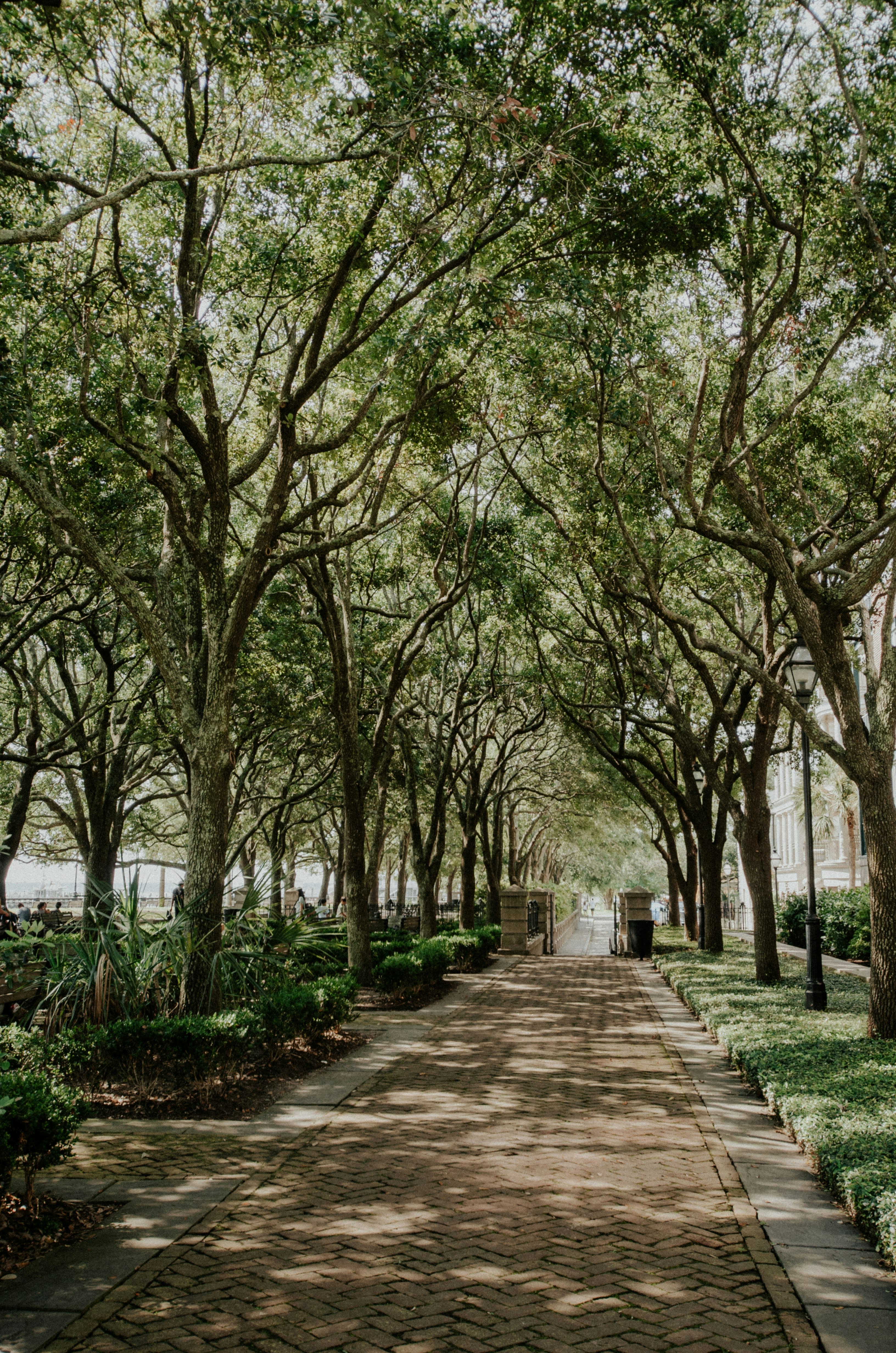 Reflections on Savannah & Charleston: History, Hospitality & Hints of the Lowcountry
