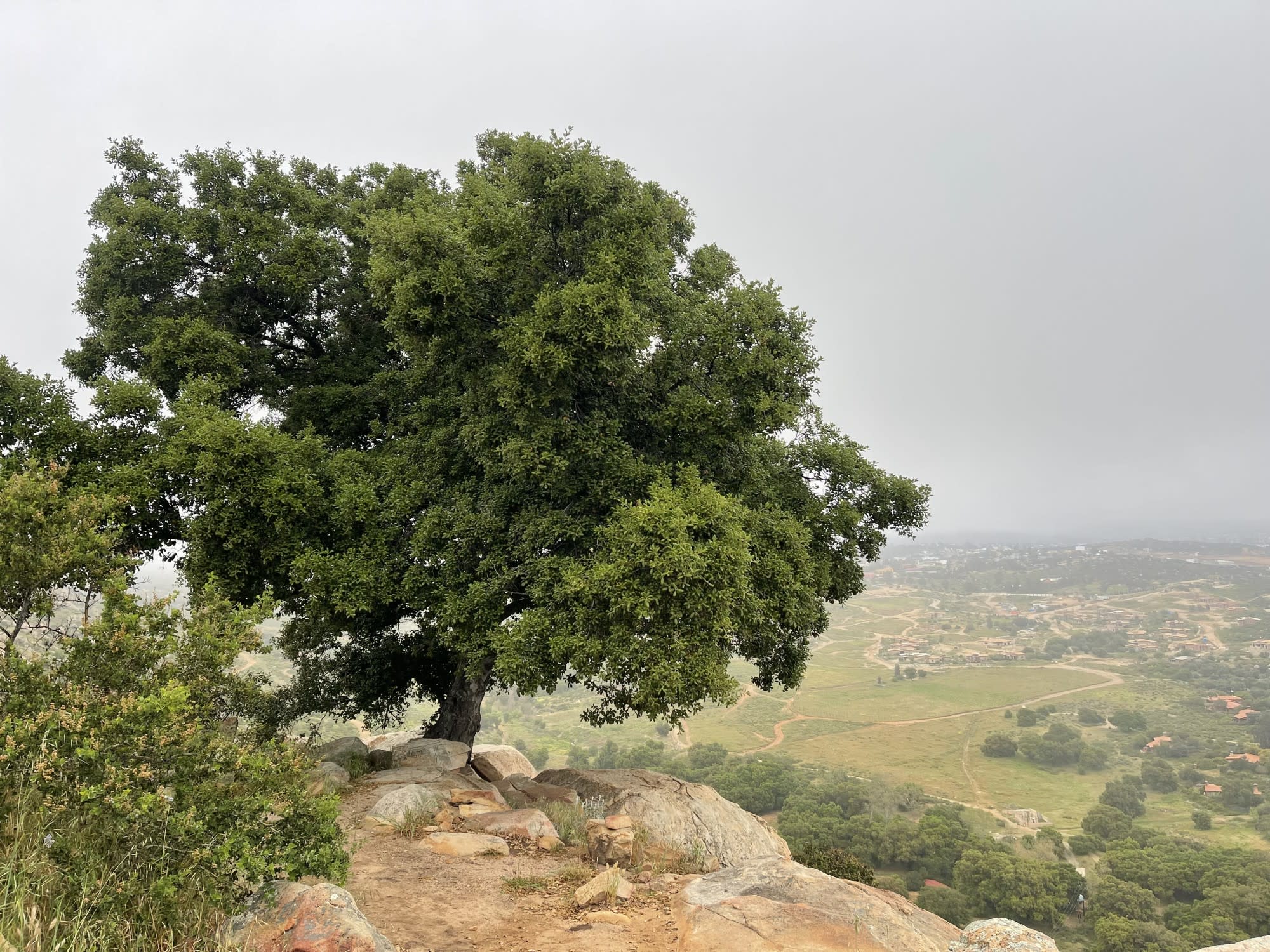 A Week at Rancho La Puerta