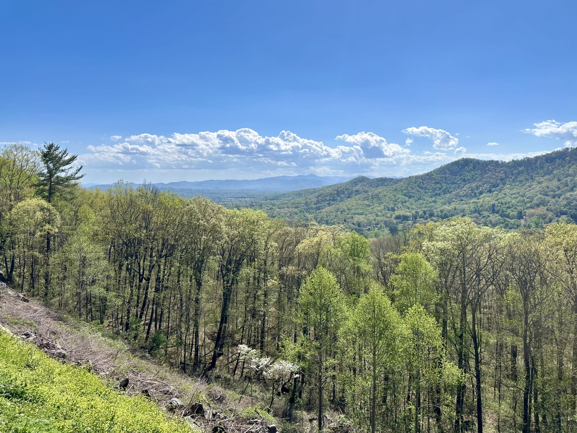 A 9-day Asheville Road Trip!
