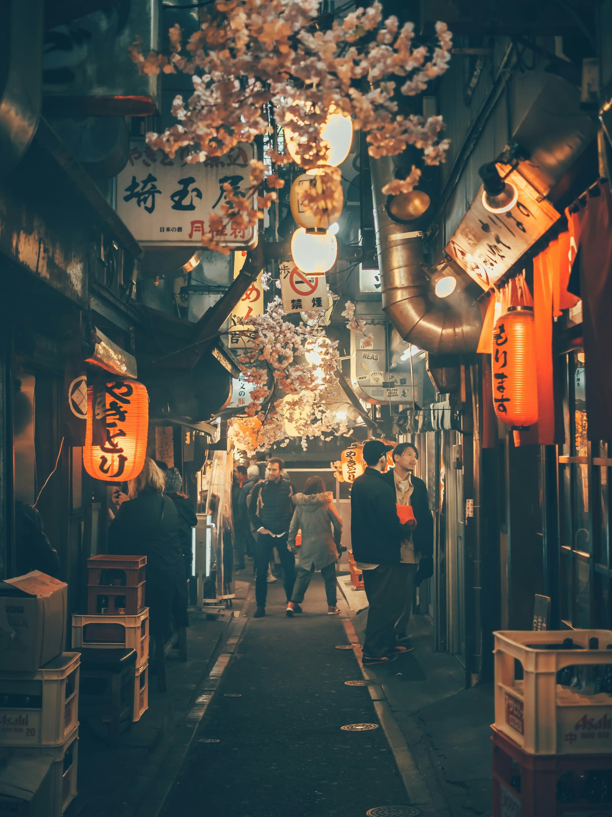 A Journey Through Iconic Japan Landmarks