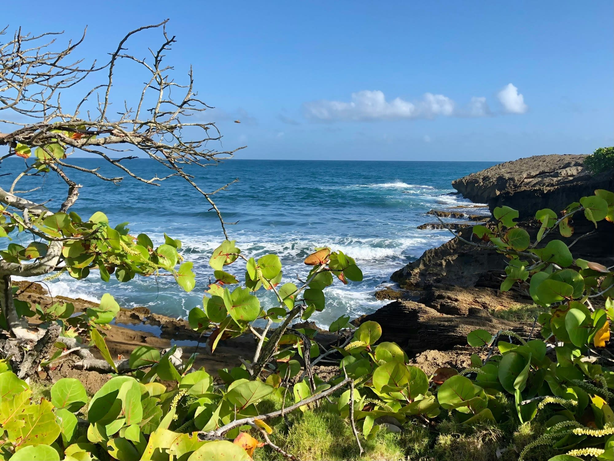 Dorado Beach Wellness Retreat