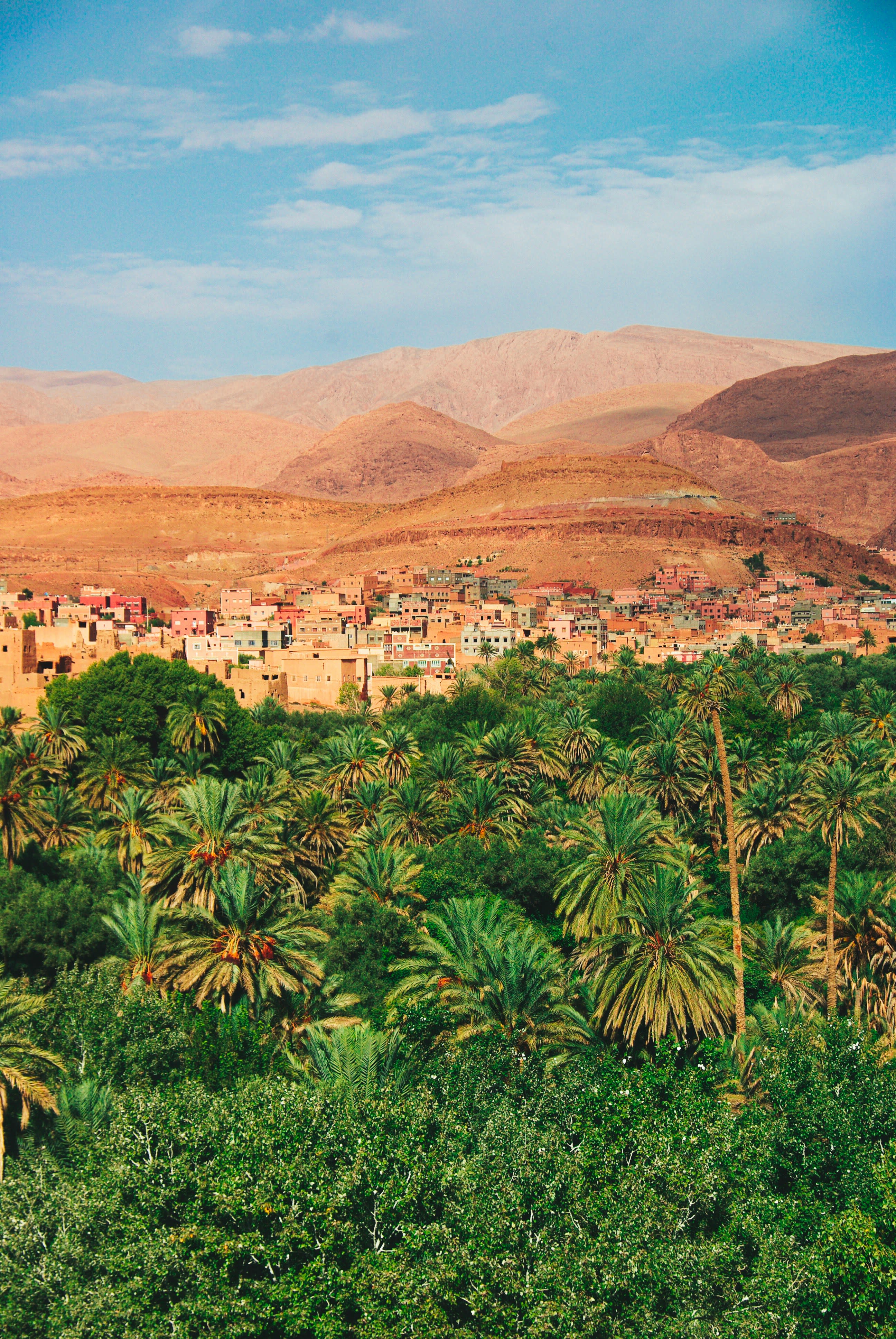 Experiencing the Vibrant Tapestry: A Review of Collette's 'Colors of Morocco' Tour