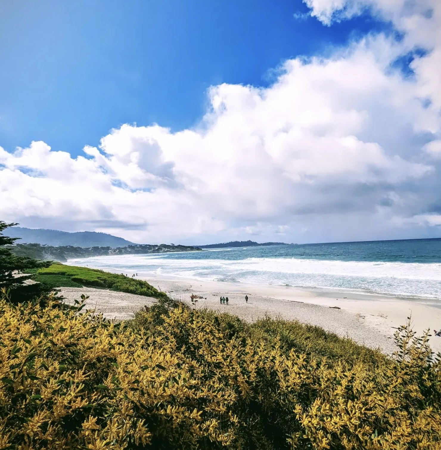 Hotel Review: A Cosy Night in Carmel-by-the-Sea at Le Petit Pali