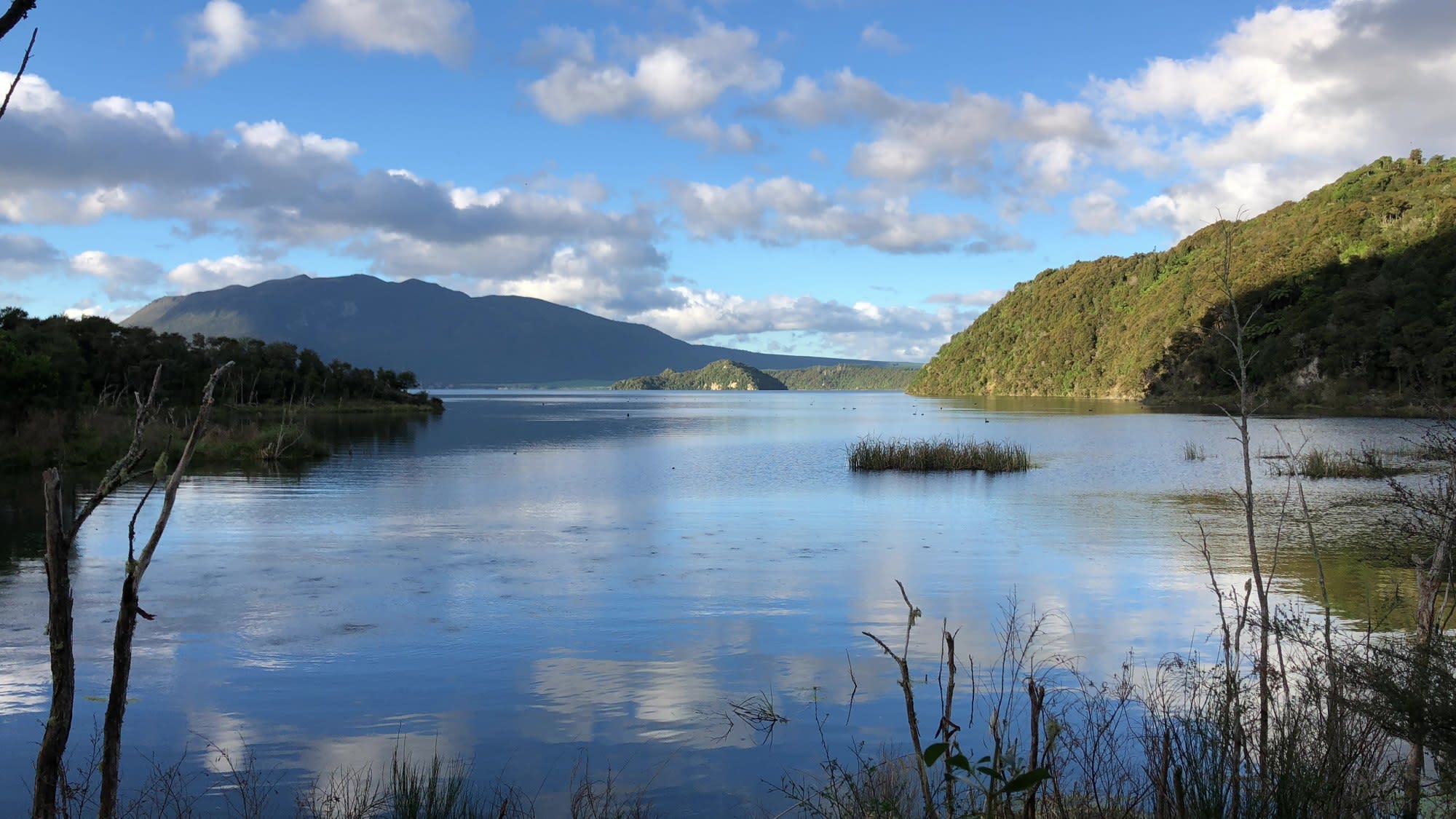 Things to do in Rotorua, New Zealand