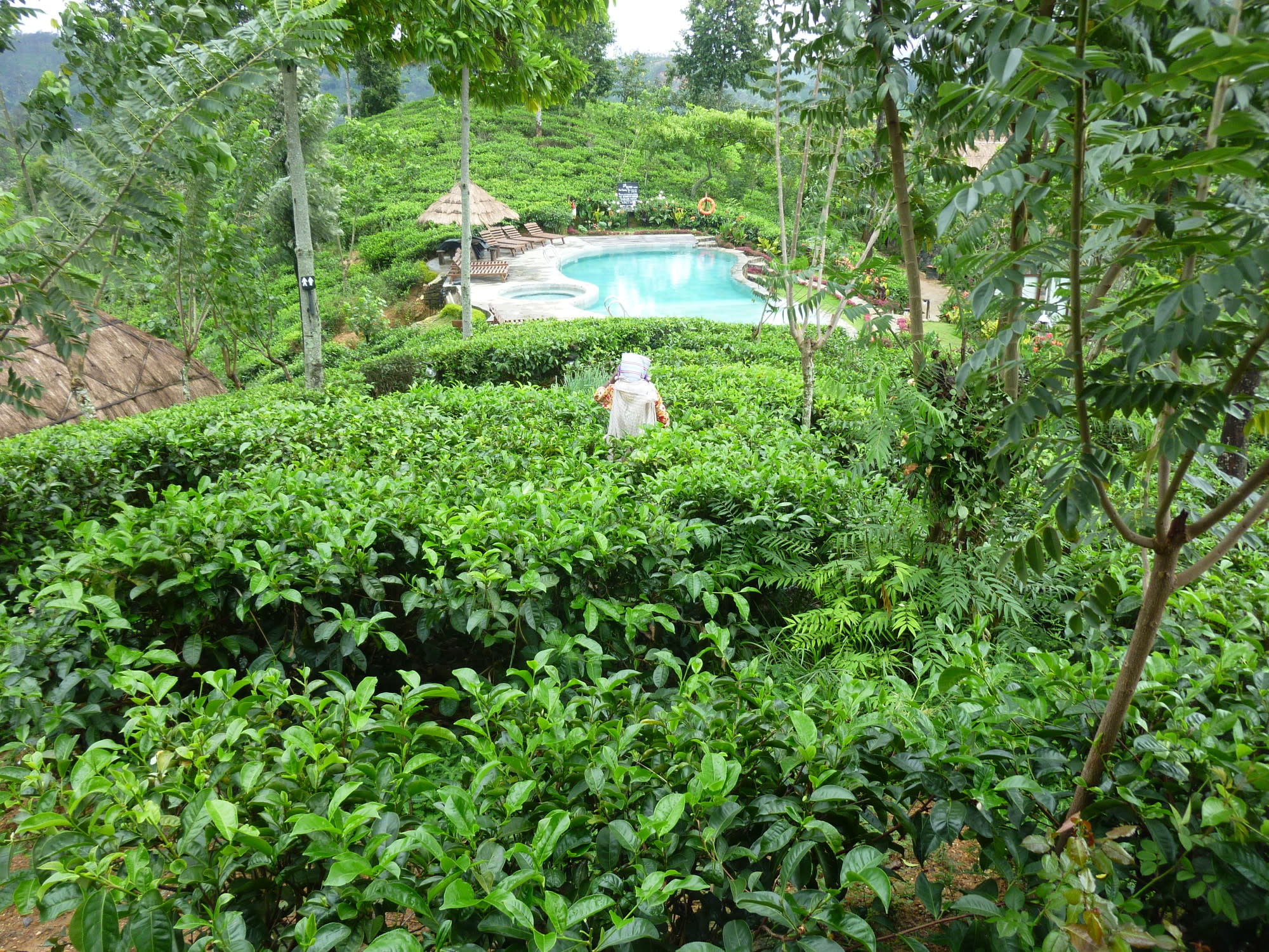 Panoramic Views from this Boutique Hotel in Ella Sri Lanka