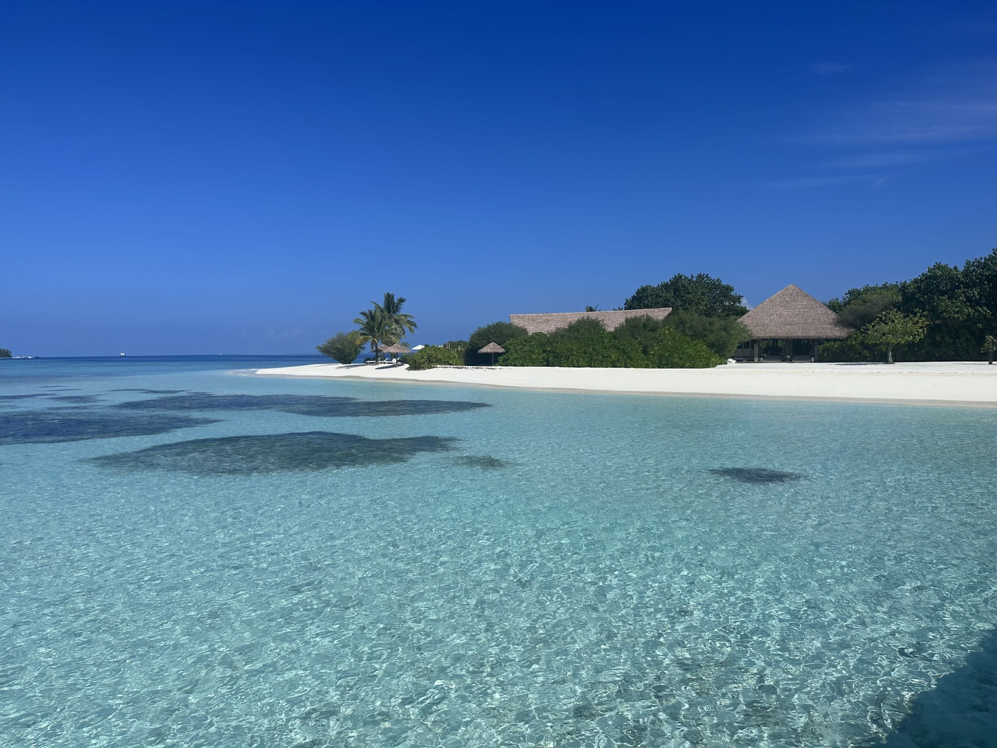 A Wellness Trip to COMO Cocoa Islands Mesmerizing Lagoon