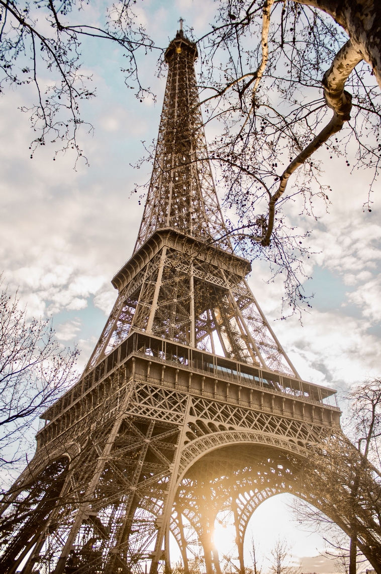 Famous Hotels in Paris