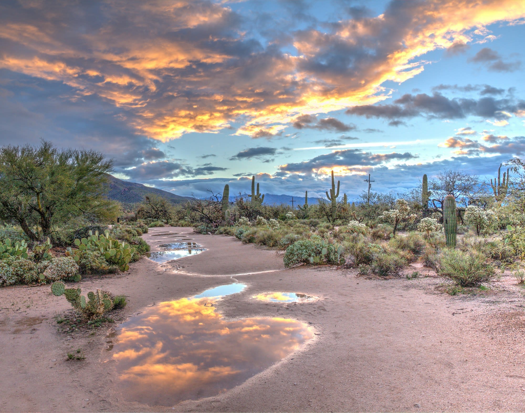 Southern Bound: Scottsdale to Tucson