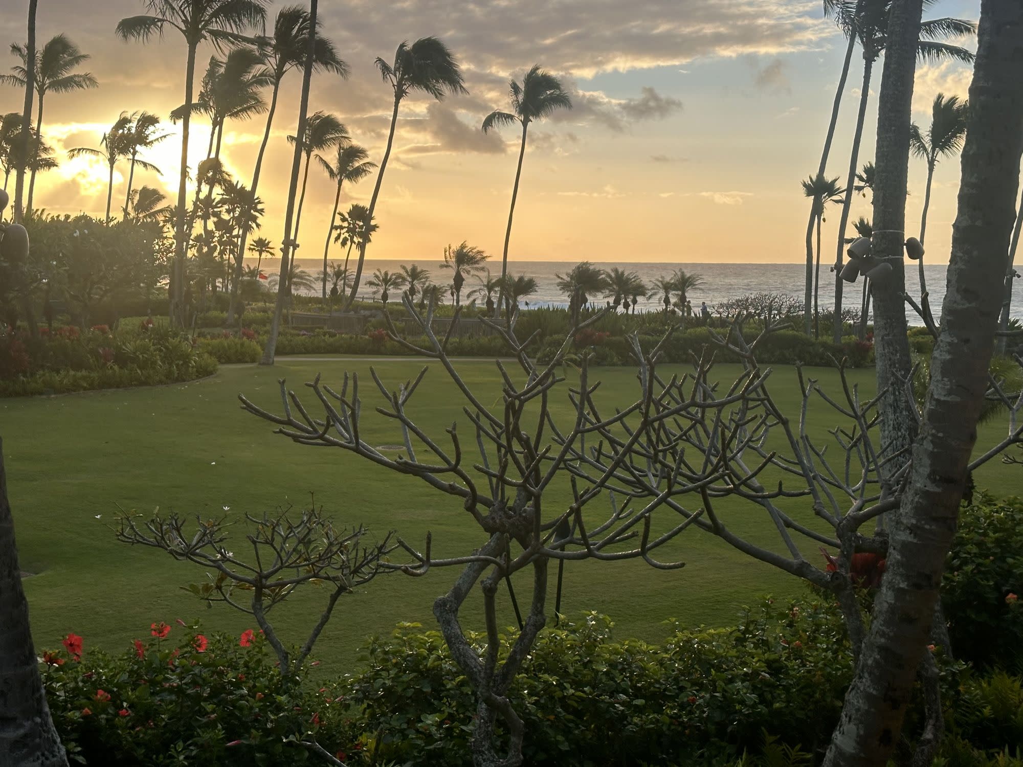 Site Inspection at Grand Hyatt Kauai Resort & Spa