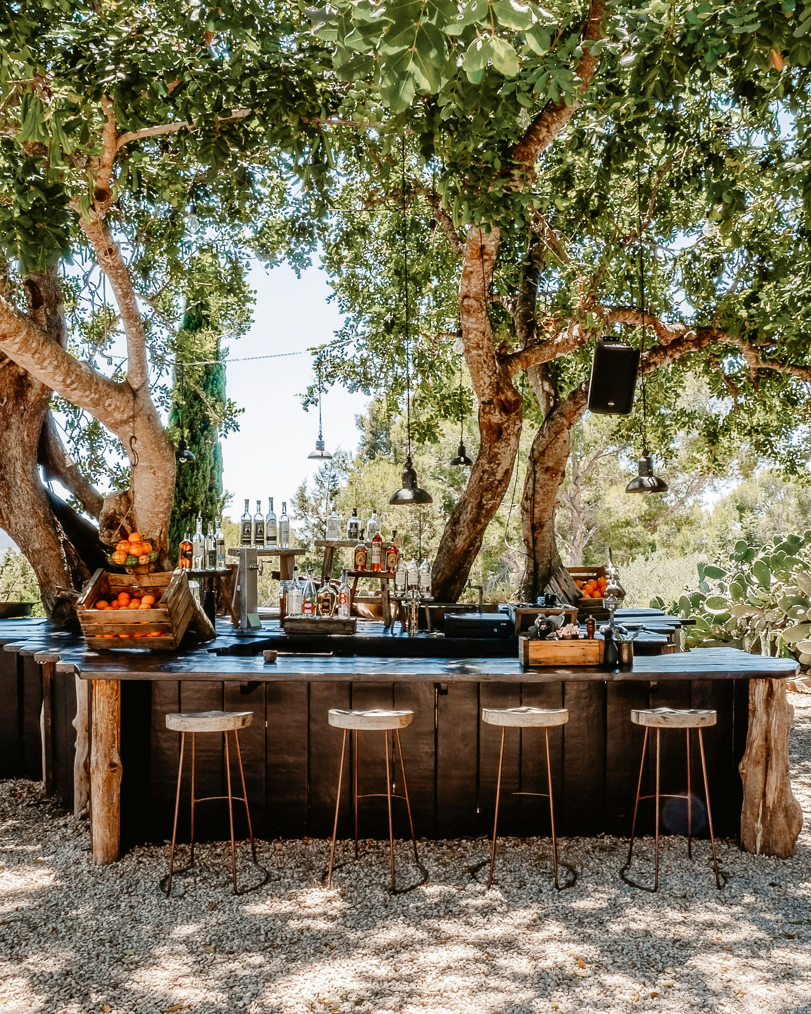 Culinary Exploration in Ibiza: My Farm-to-Table Adventure