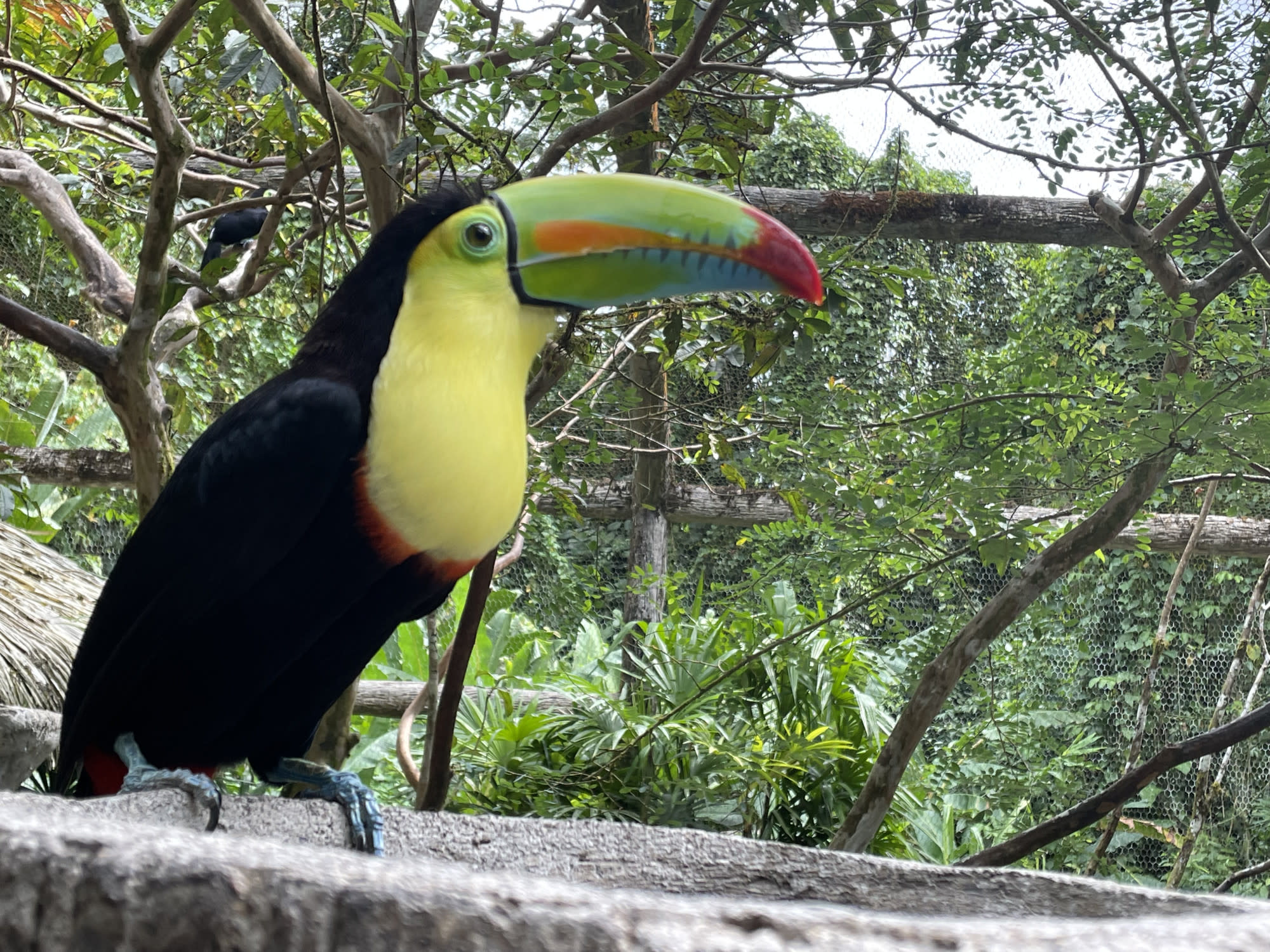 Costa Rica Travel with Toddlers
