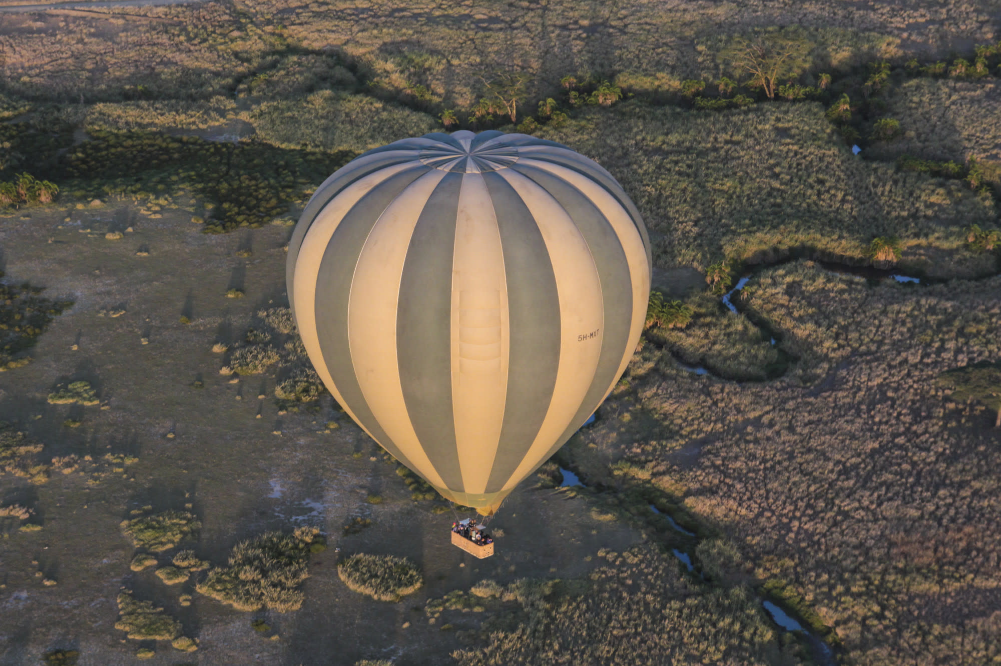 Immersive Safari & Beach Experience in Tanzania