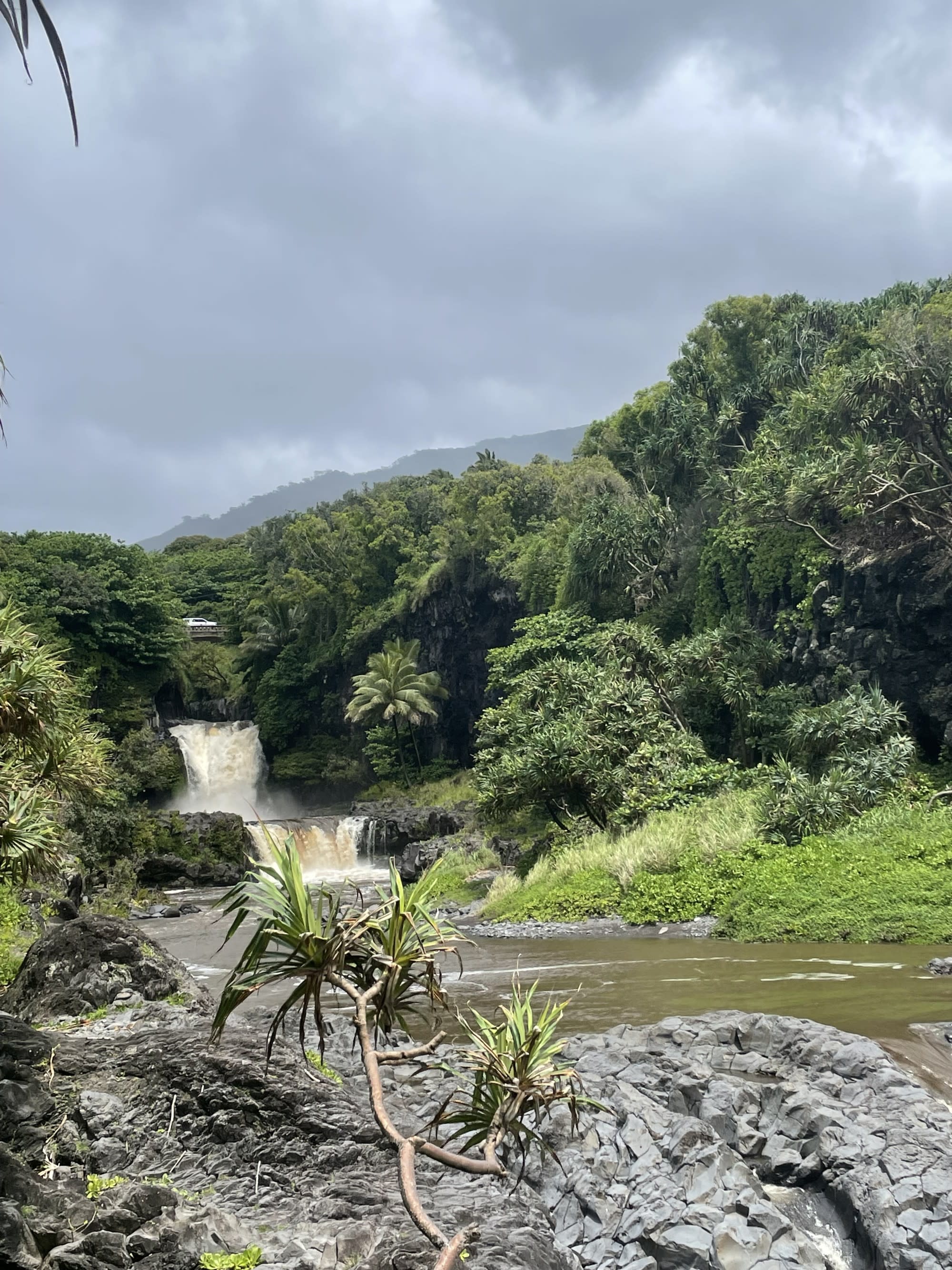 Must-Dos in Maui For Couples