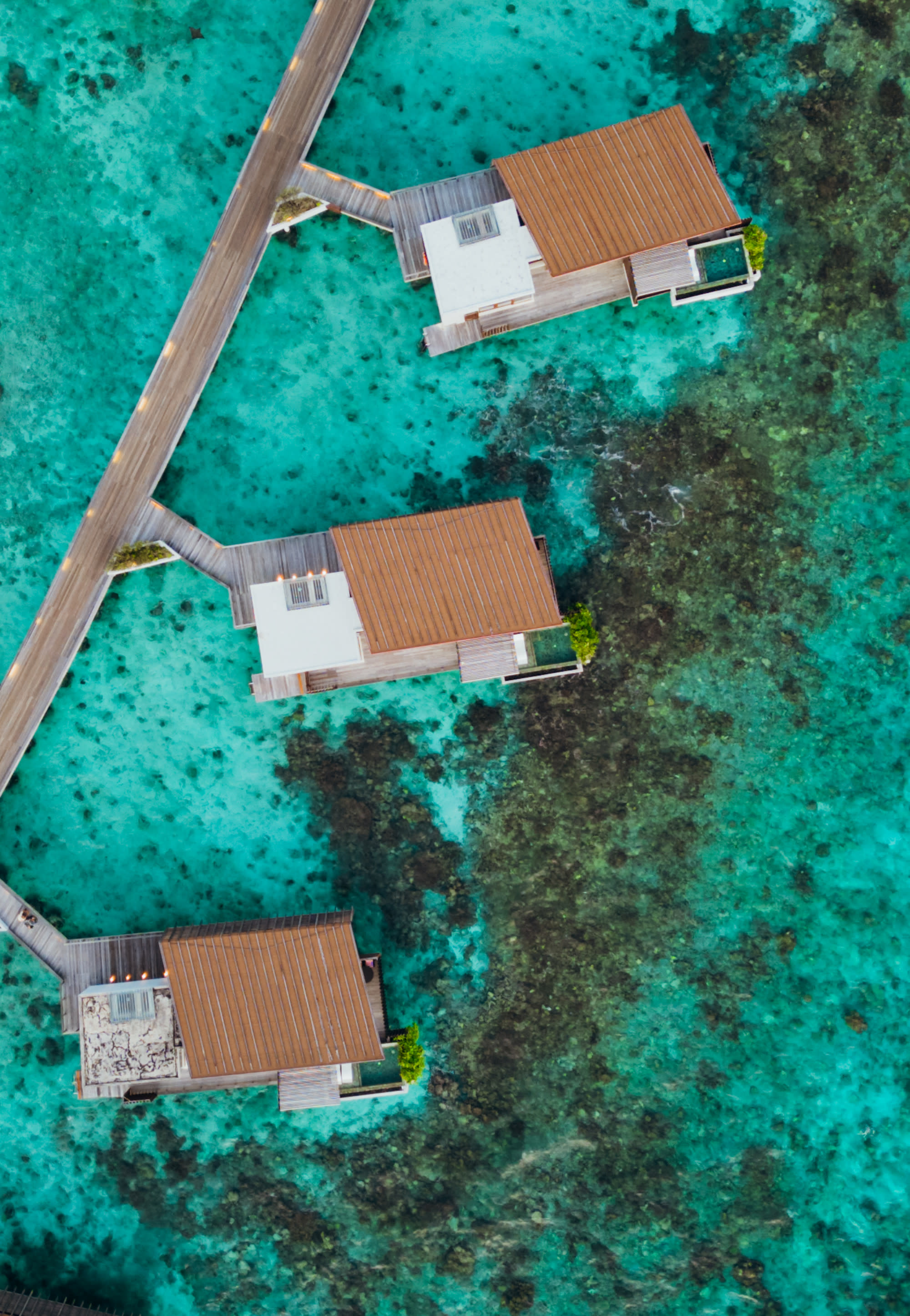 Small Island Luxury for the Ocean Enthusiast at Park Hyatt Maldives