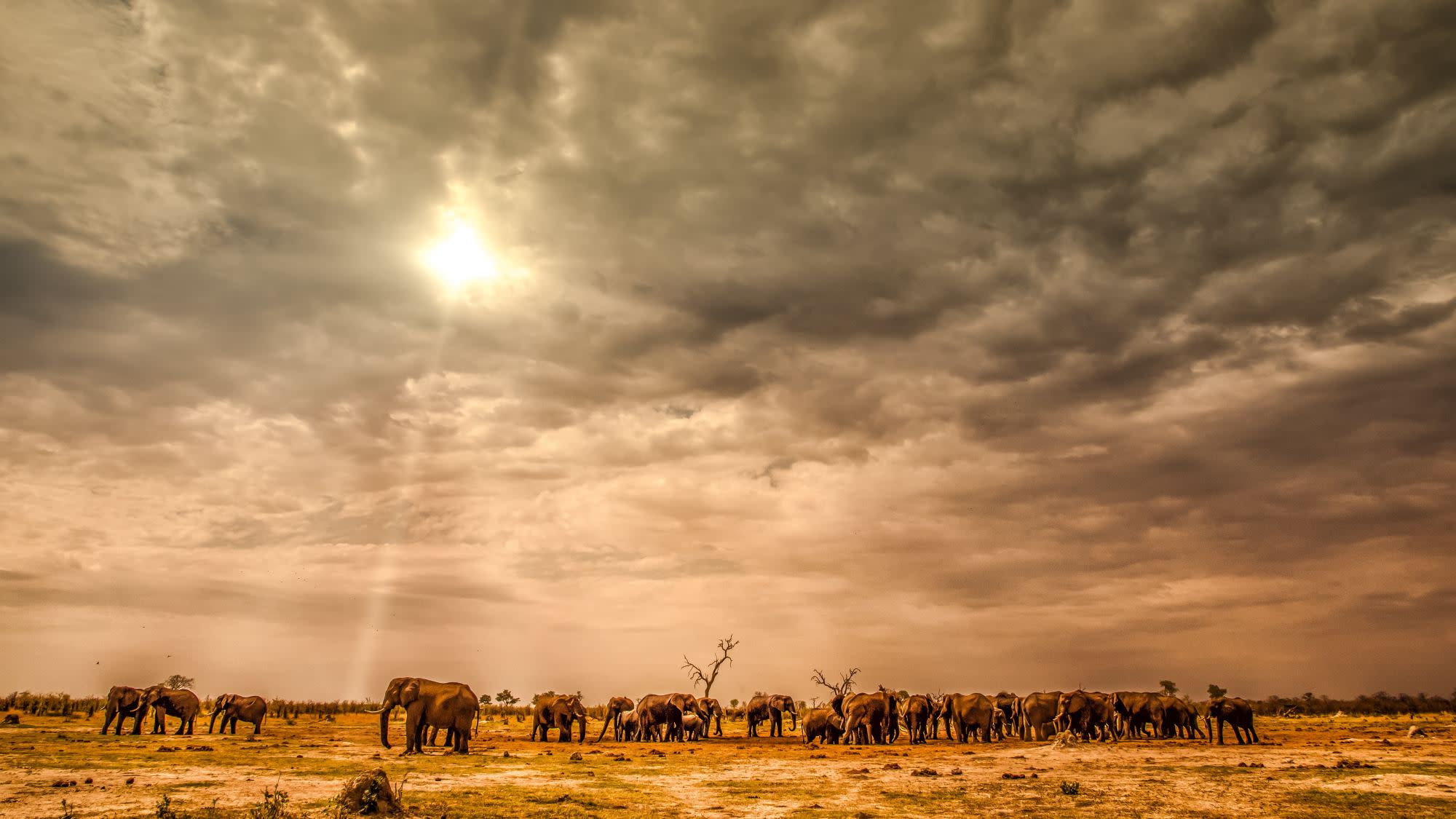 AndBeyond Chobe Under Canvas