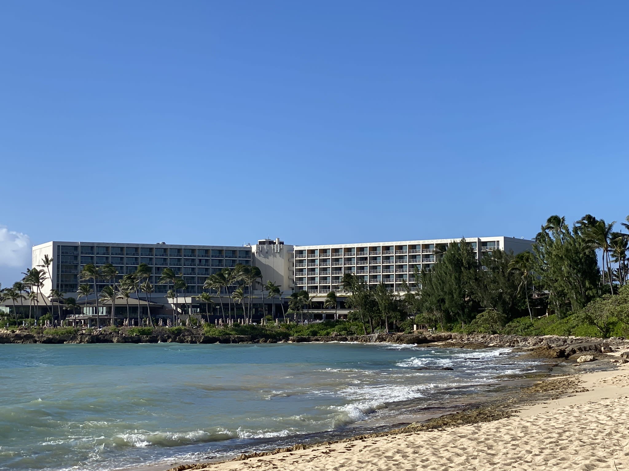 Unveiling Oahu's Magic: Our Unforgettable Adventure and a Call for Support