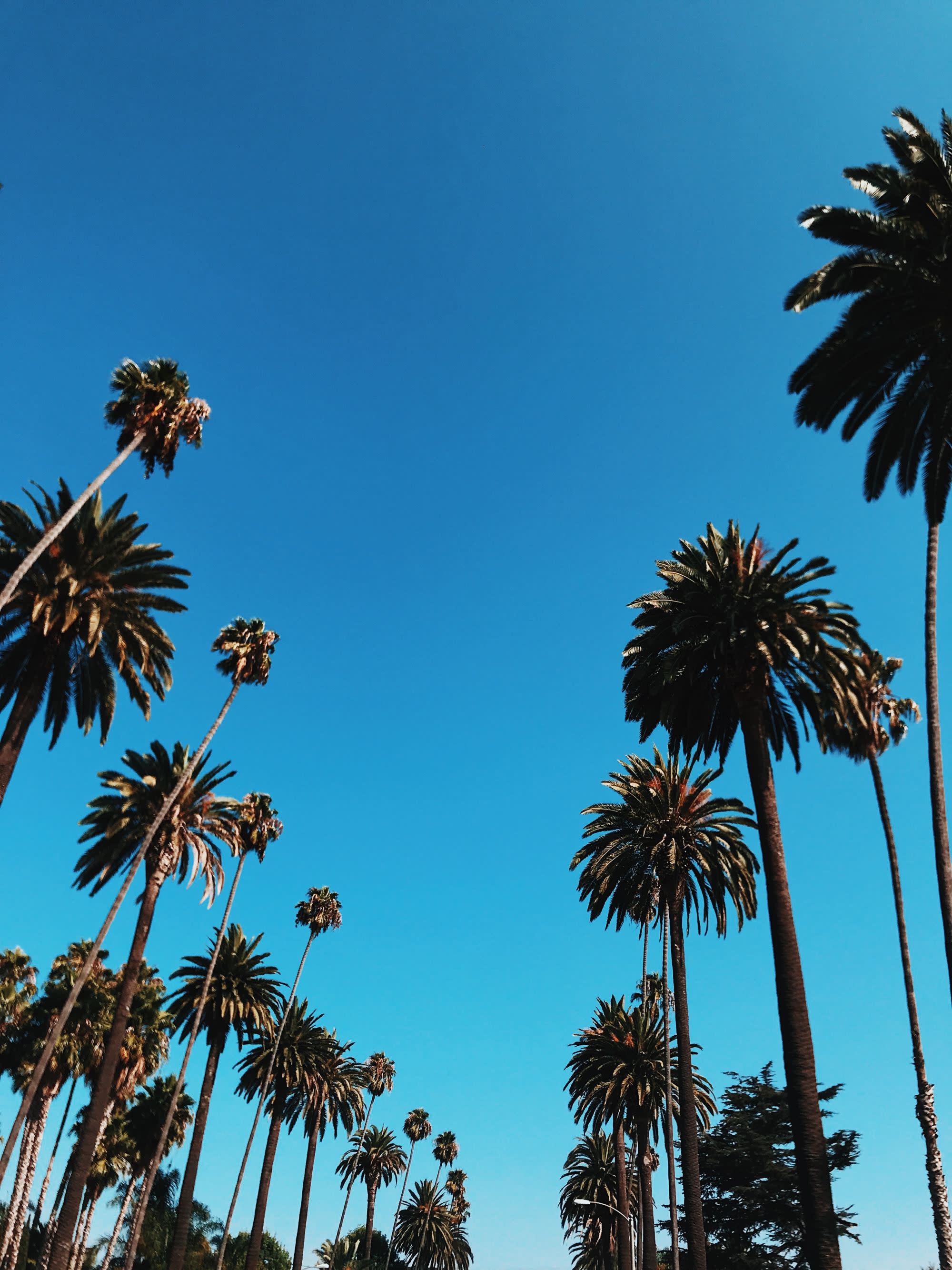 Unraveling a Best-Kept Secret: California Hot Springs Resort Stay