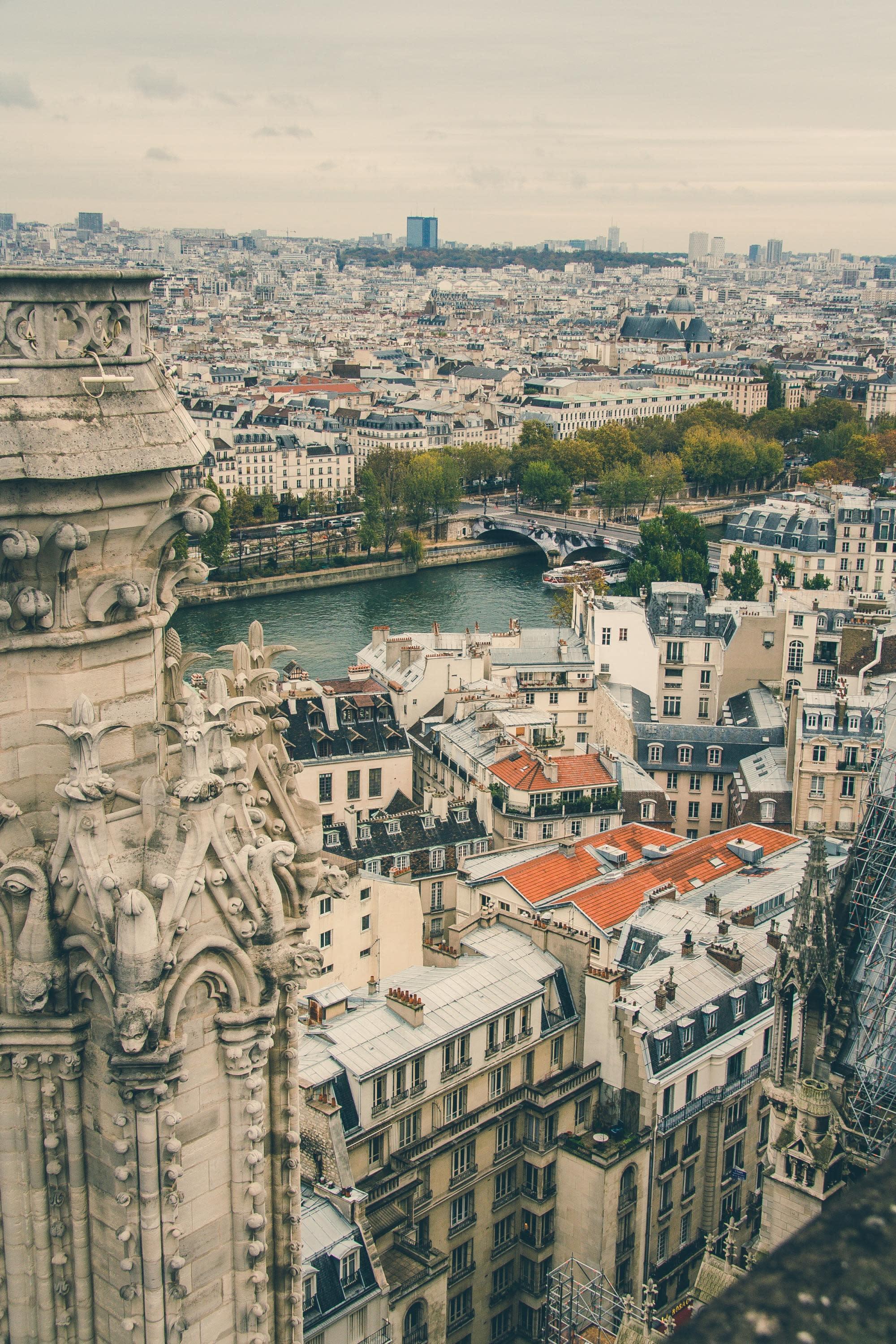 Serene Seine: Exploring the Wonders of France on a Seine River Cruise