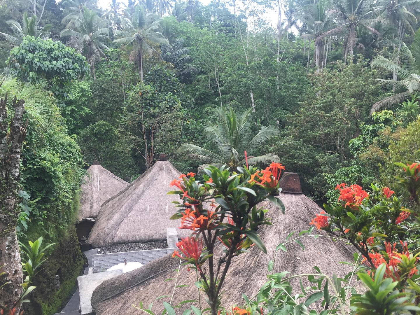 The Kayon Jungle Resort in Ubud Bali has the Wow Factor at Every Turn