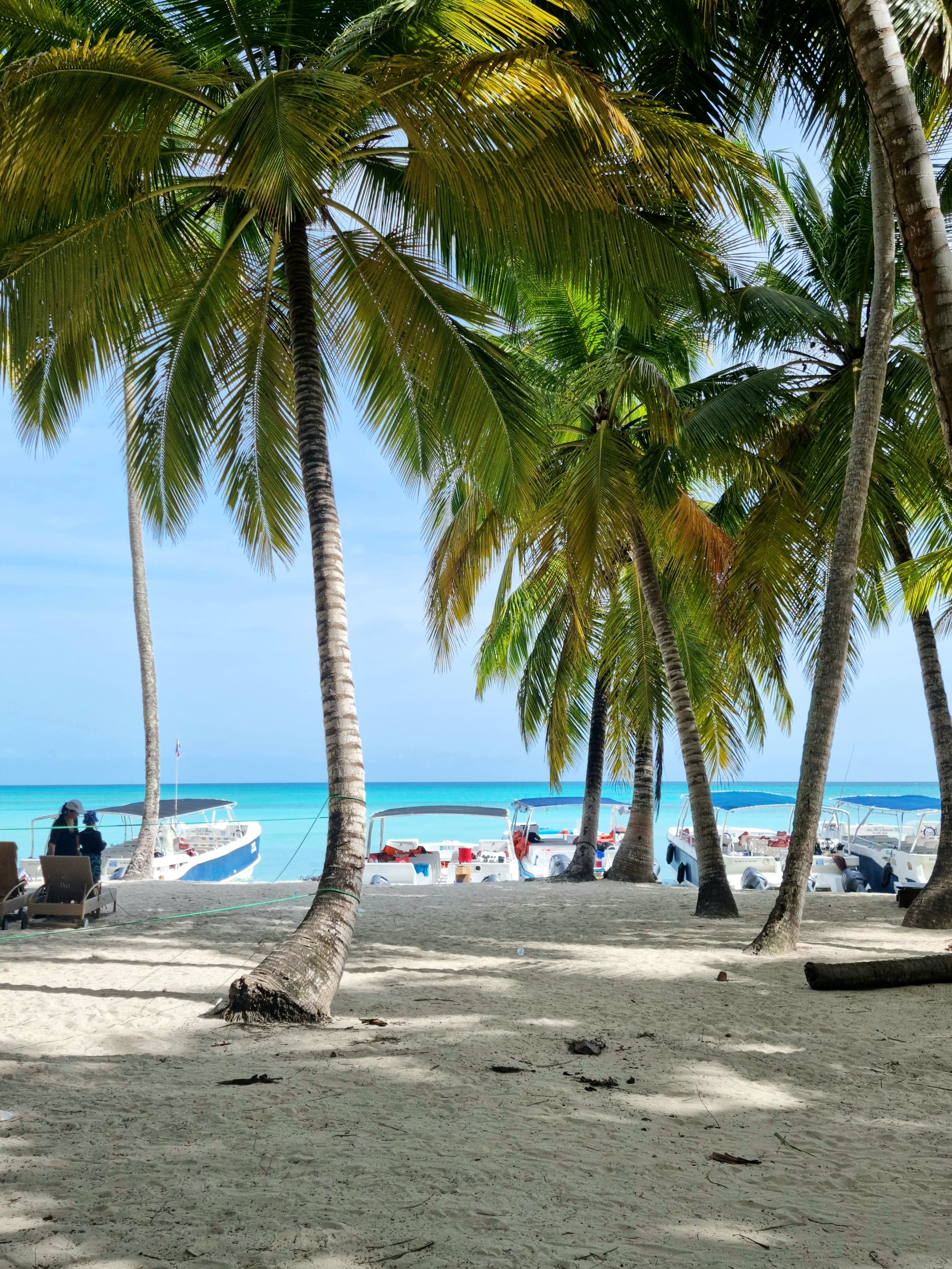 Cruising in Luxury: An Unforgettable Journey on Celebrity's Beyond